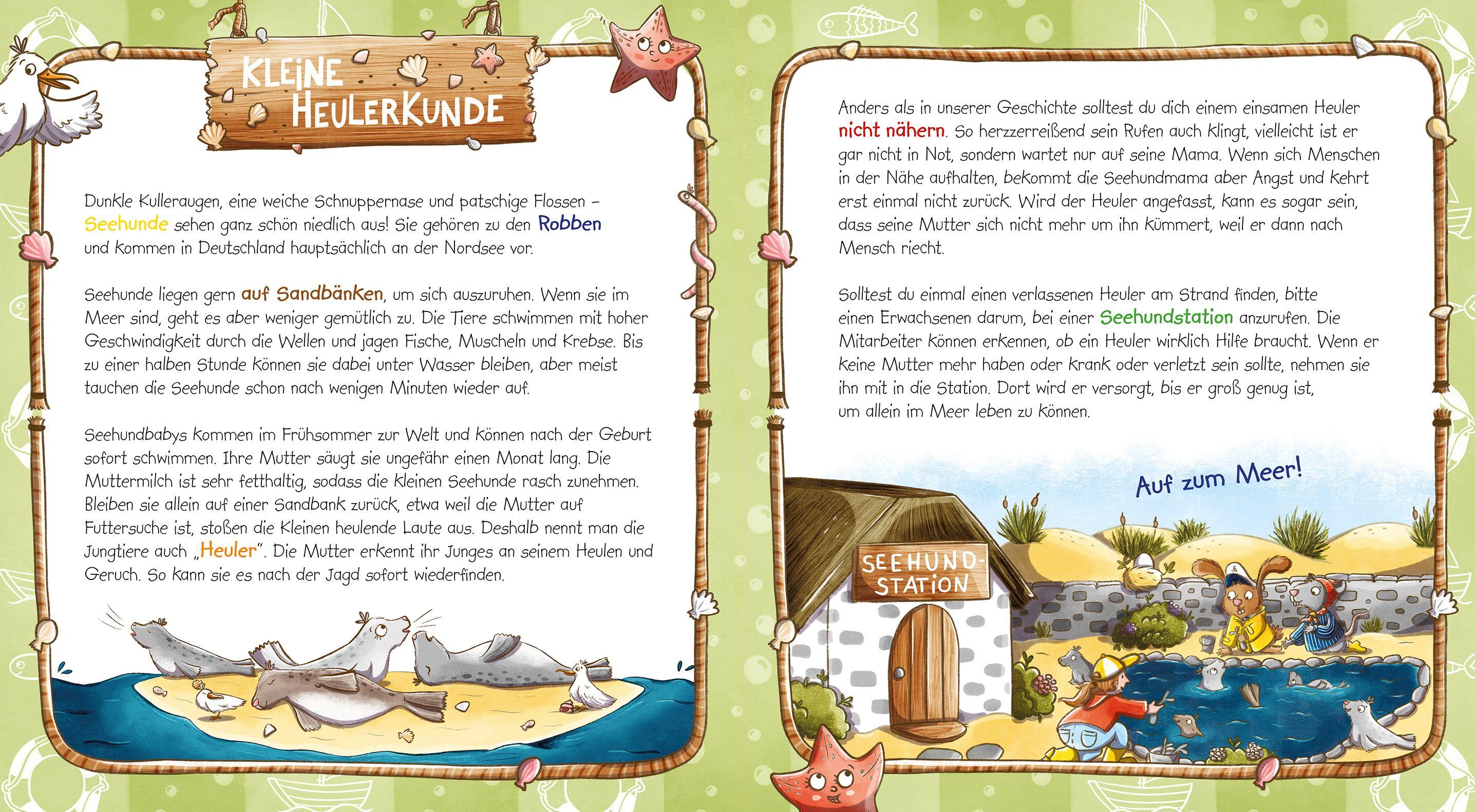 Beispielinhalt (Bild) Ibbe & Knut - Ein Seehund macht Urlaub