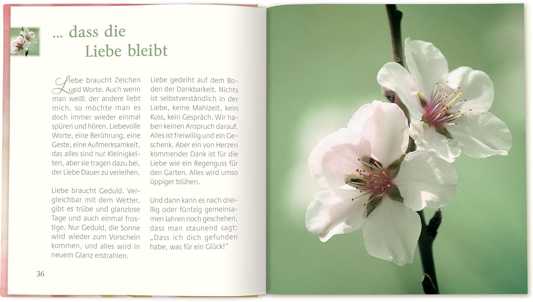 Beispielinhalt (Bild) ... dass die Liebe bleibt
