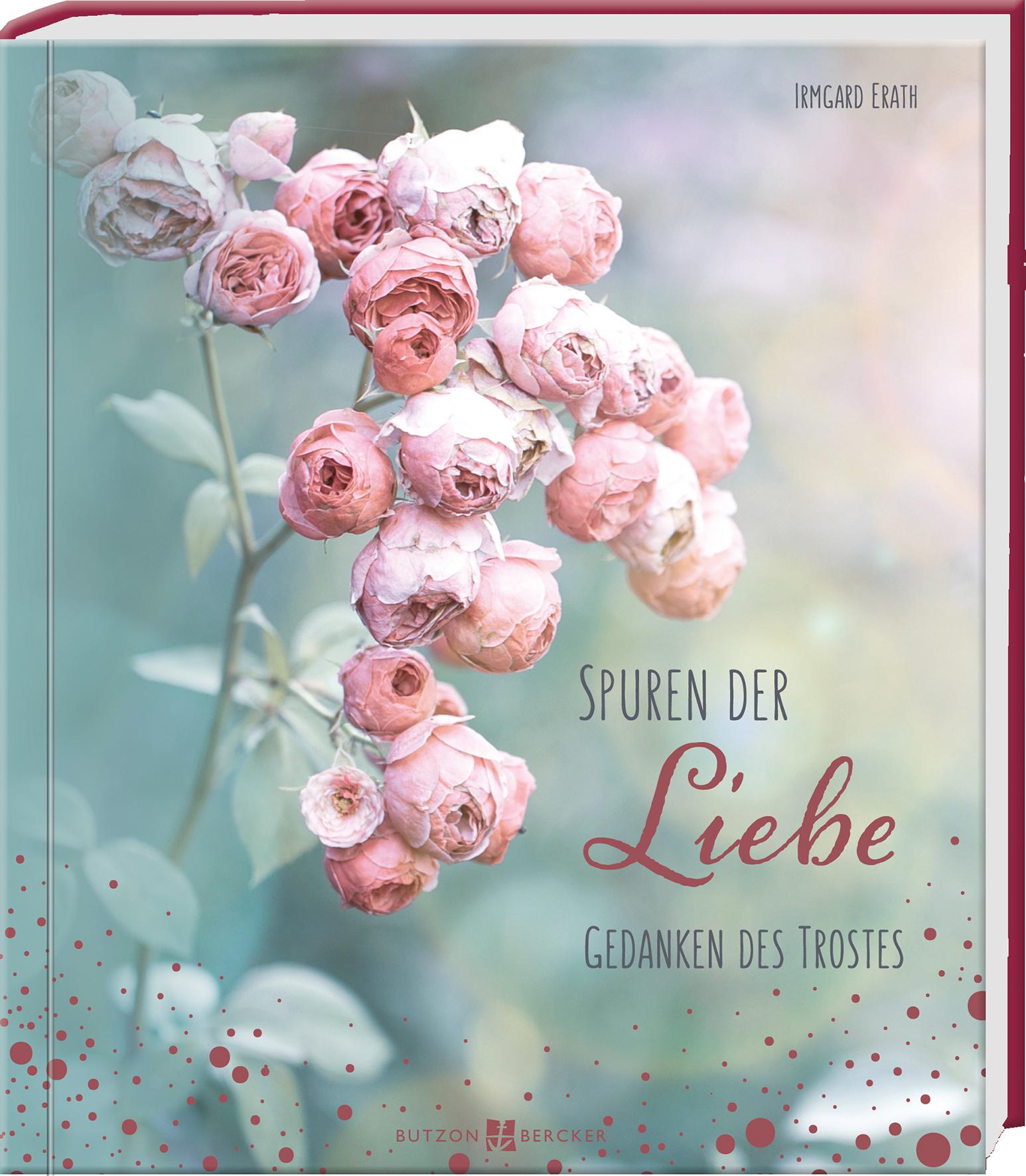 Vorderes Coverbild Spuren der Liebe