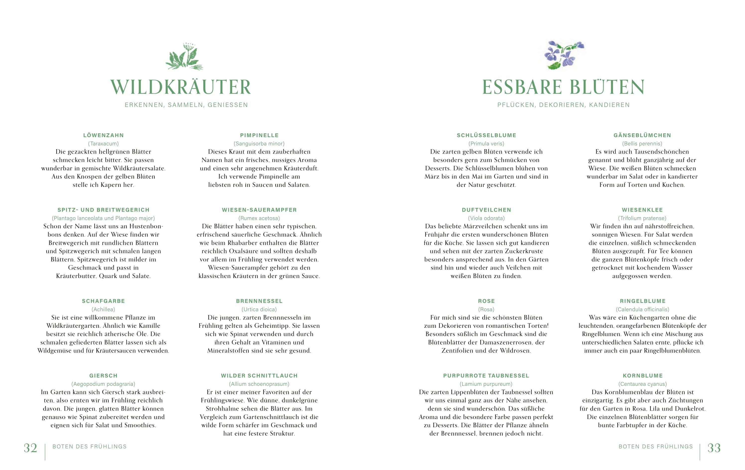 Beispielinhalt (Bild) Frühlingserwachen