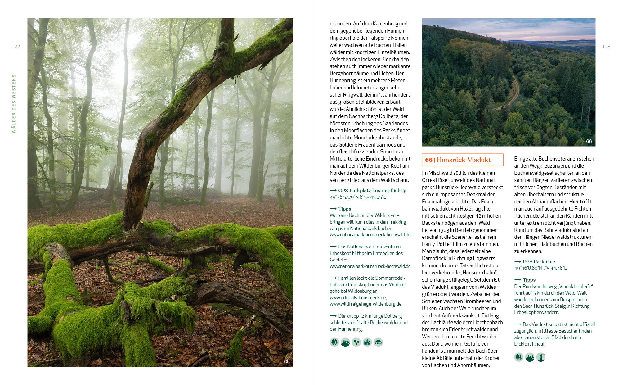 Beispielinhalt (Bild) Wild Guide Deutsche Wälder