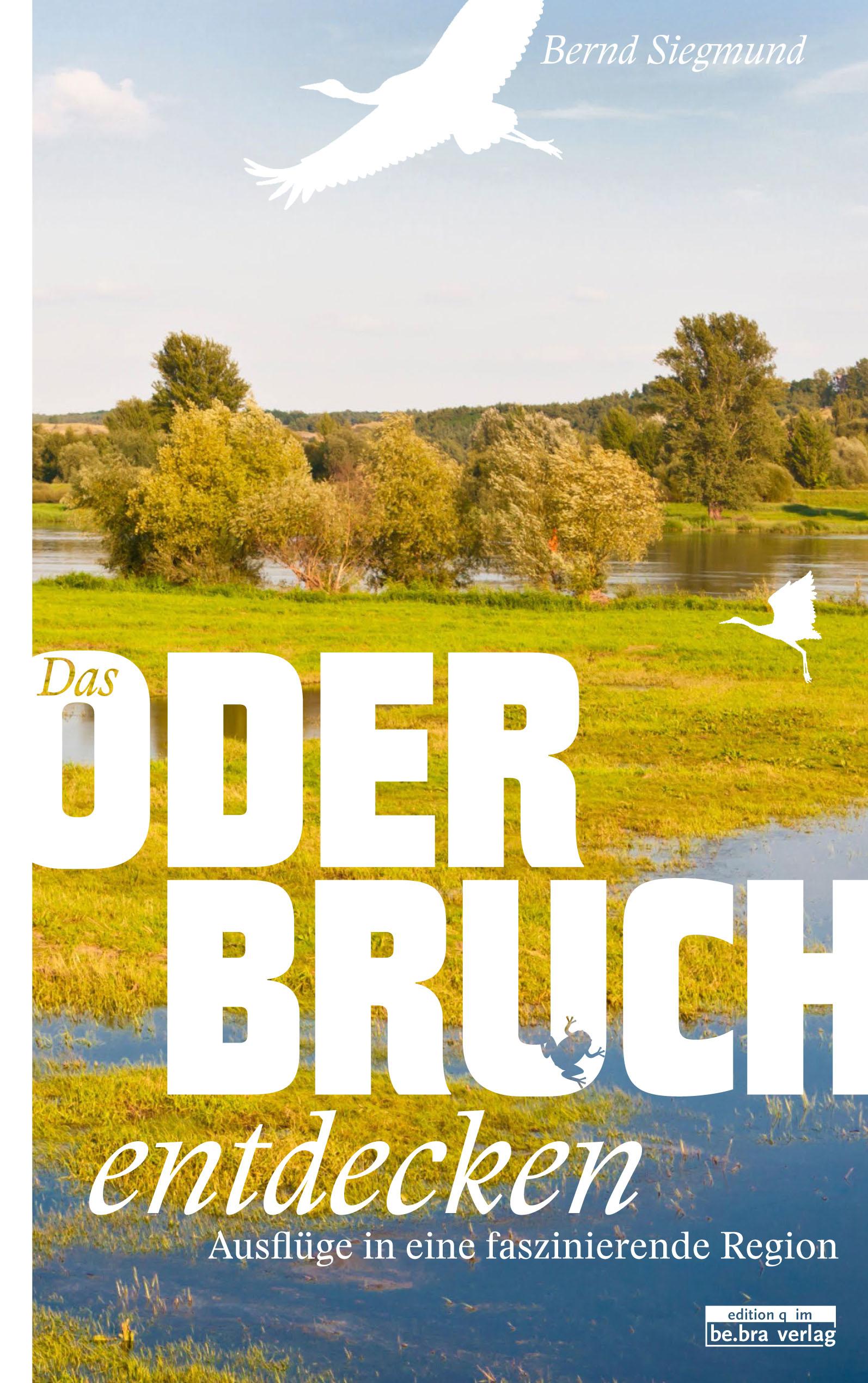 Vorderes Coverbild Das Oderbruch entdecken