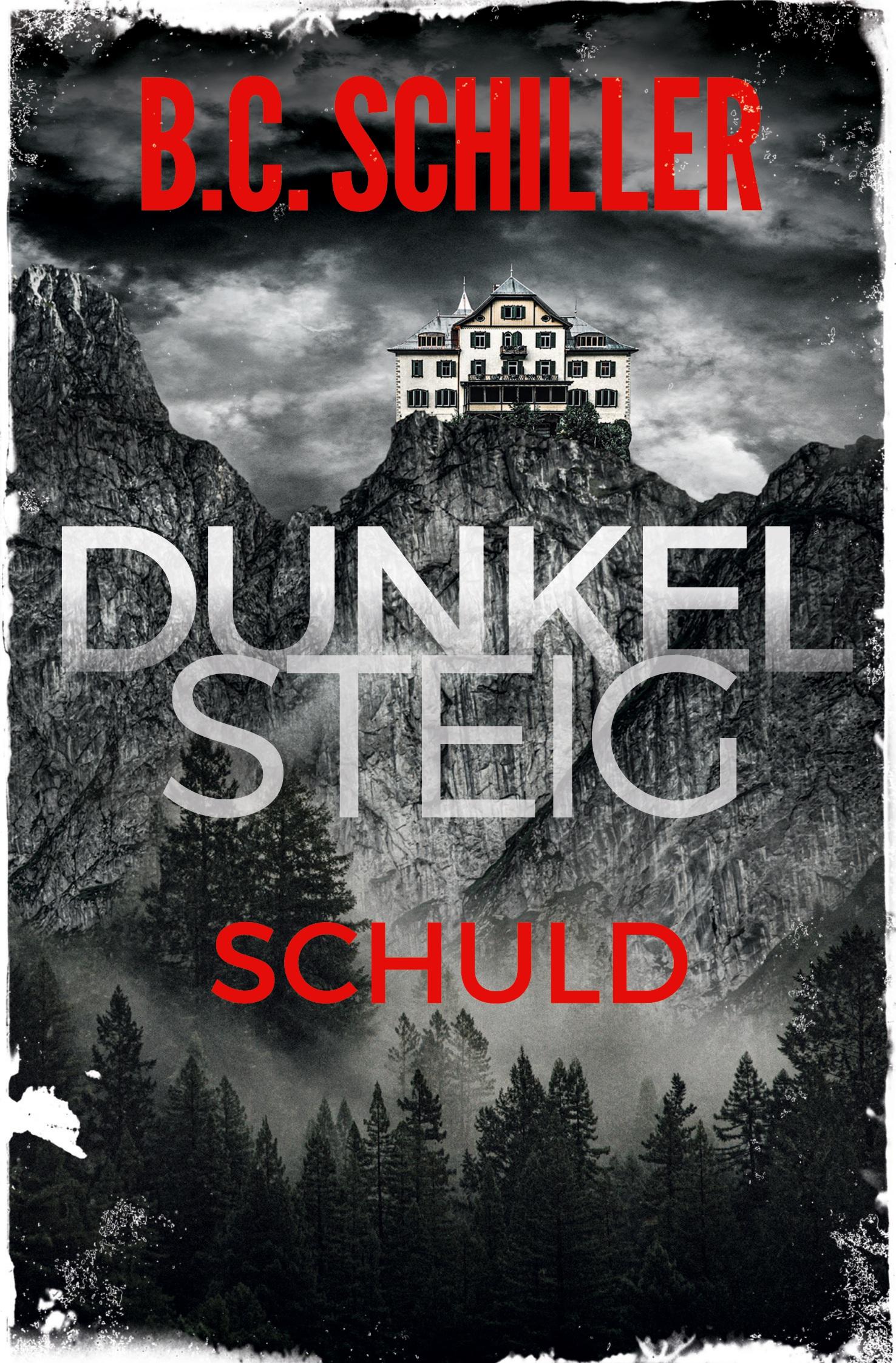 Vorderes Coverbild Dunkelsteig: Schuld