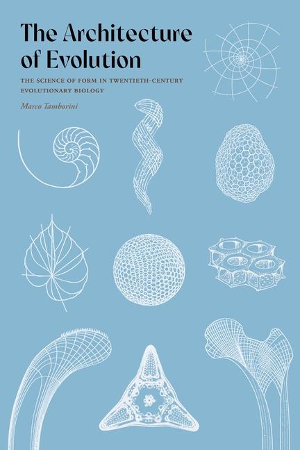 Vorderes Coverbild The Architecture of Evolution