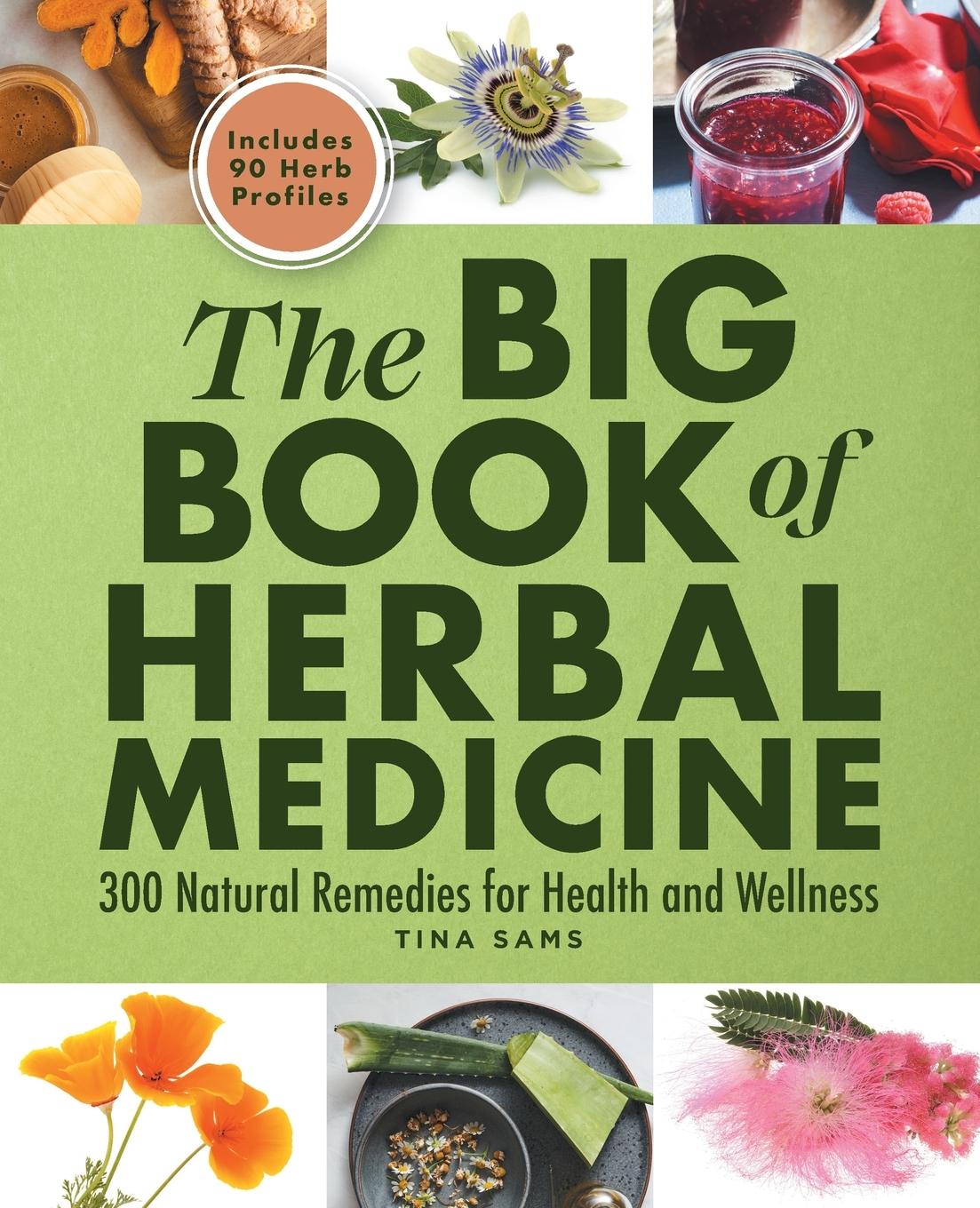 Vorderes Coverbild The Big Book of Herbal Medicine