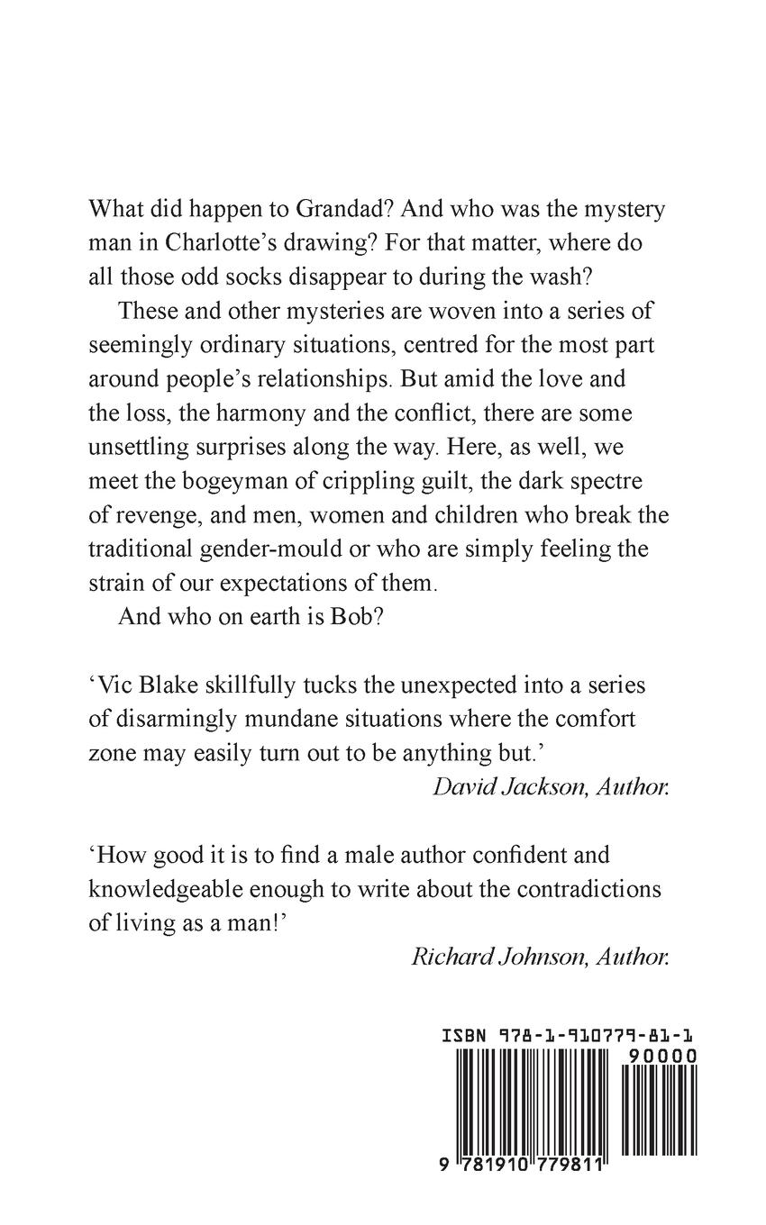 Rückseitencover So anyway...