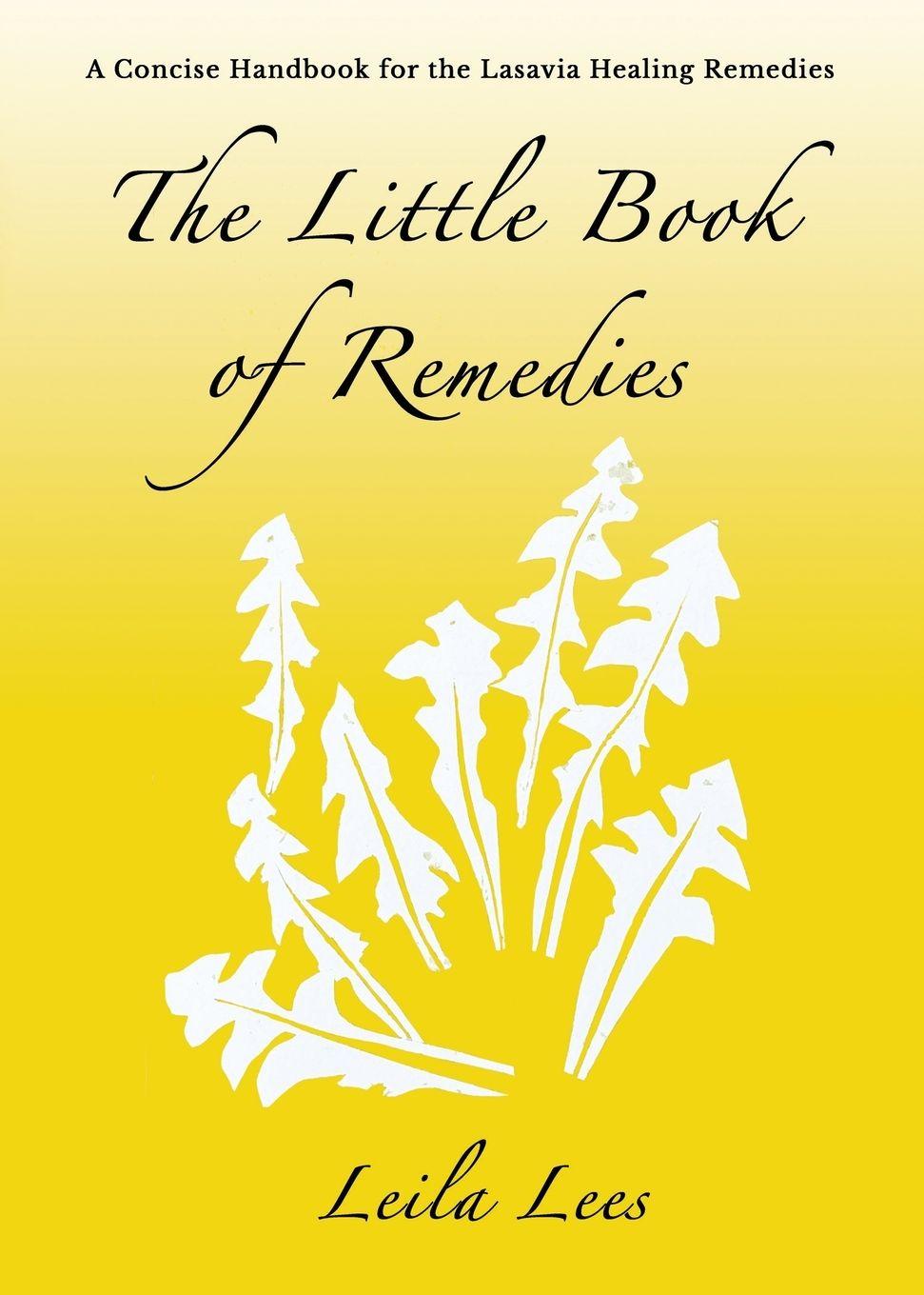 Vorderes Coverbild The Little Book of Remedies