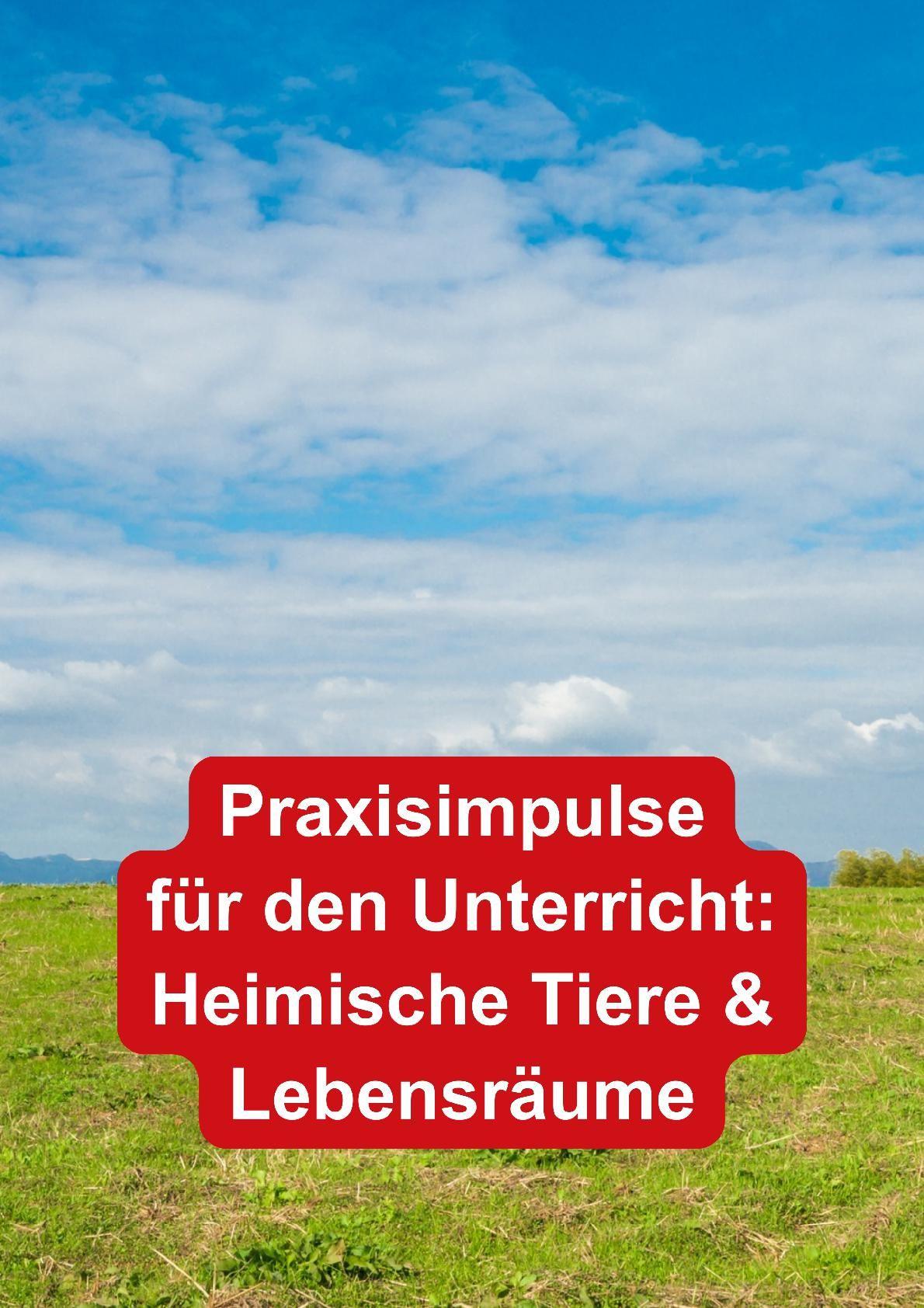 Beispielinhalt (Bild) Themenheft Igel 1./2. Klasse