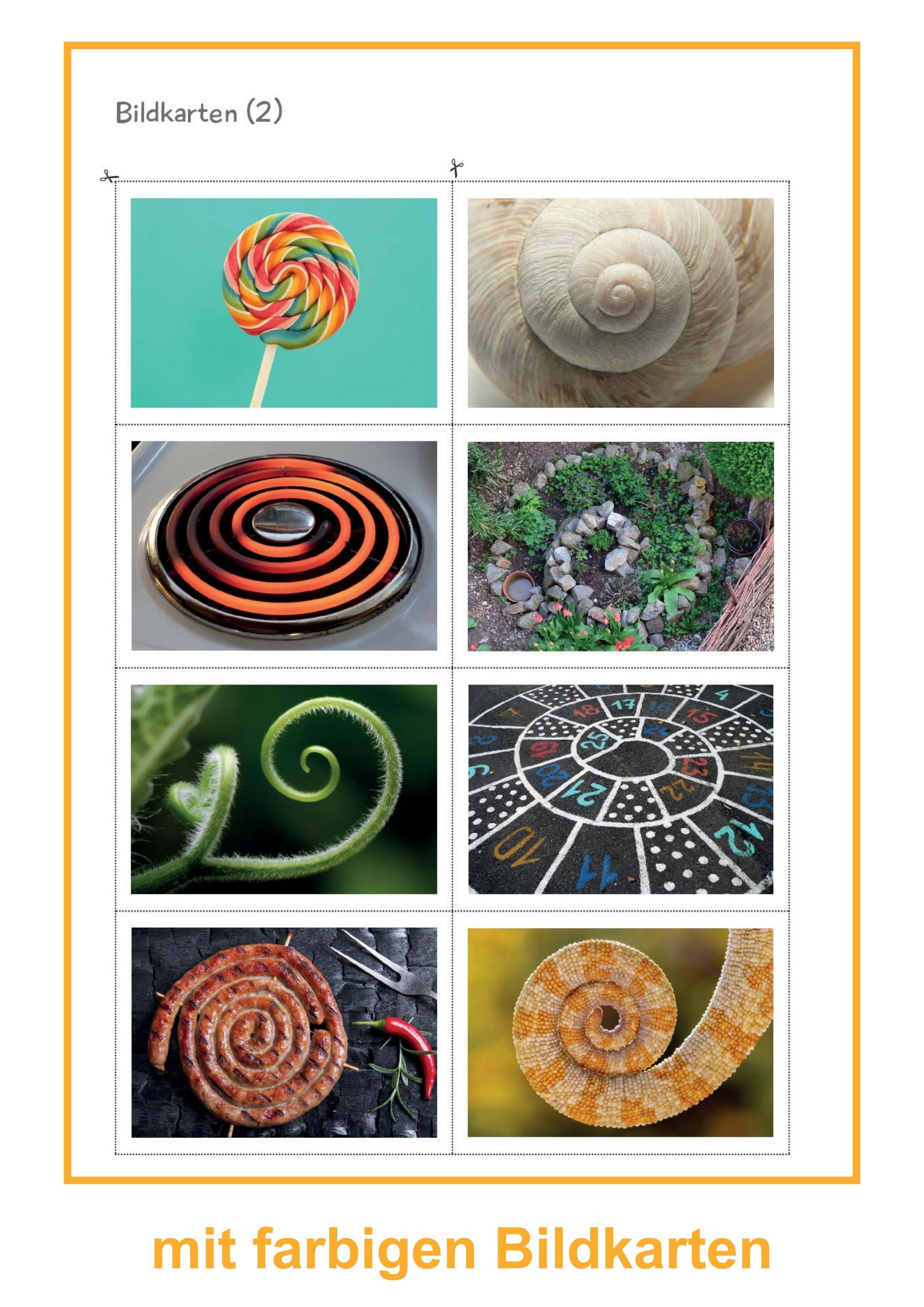 Beispielinhalt (Bild) Schnecken