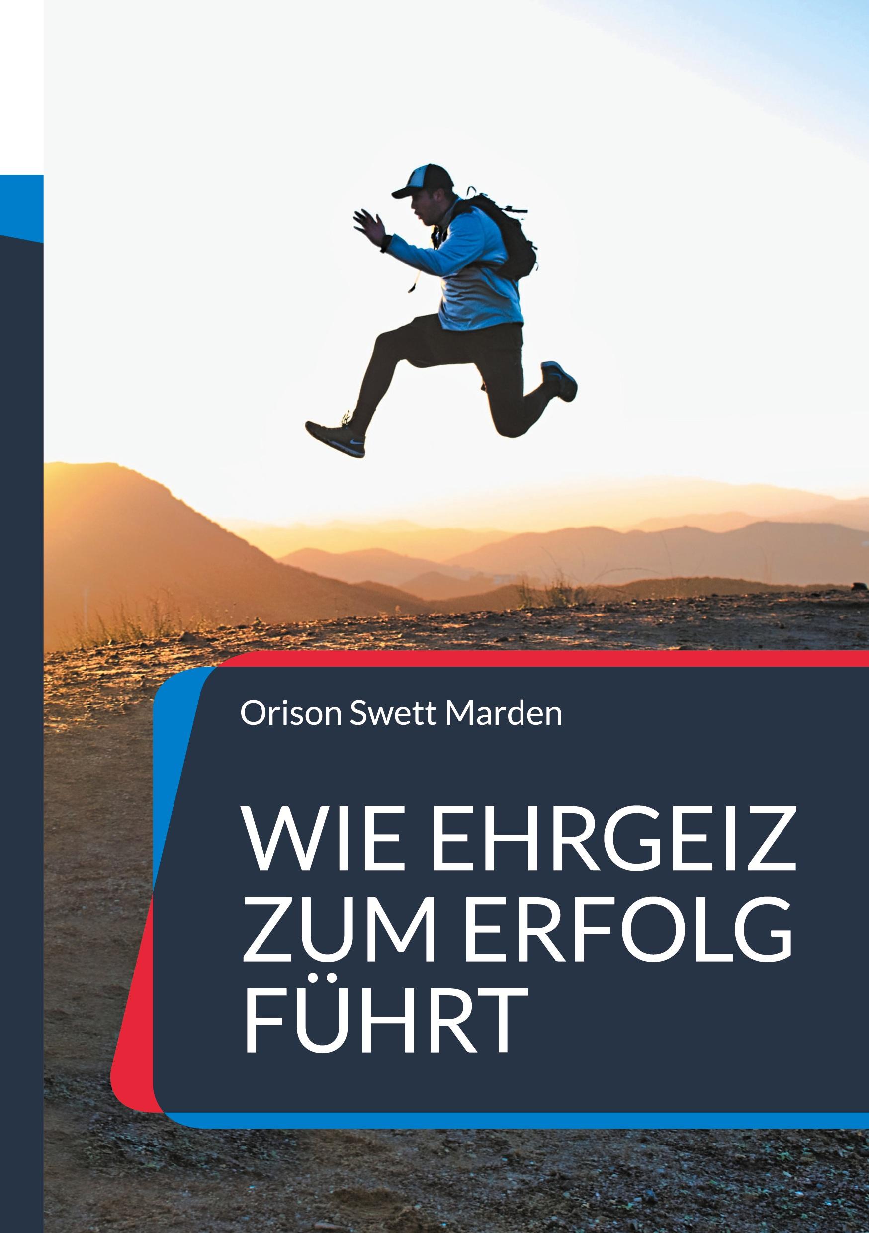 Vorderes Coverbild Wie Ehrgeiz zum Erfolg führt