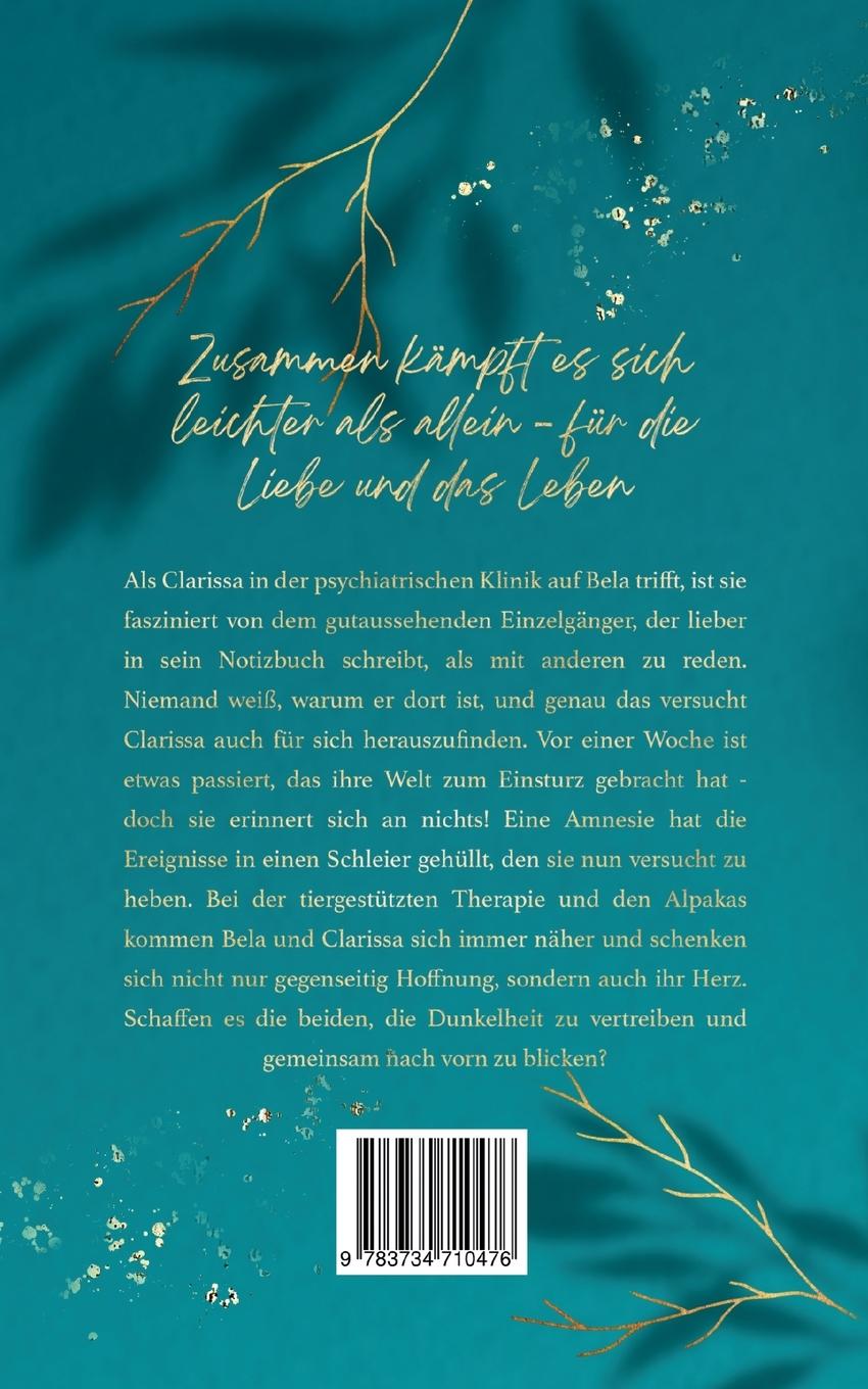 Rückseitencover All die Sterne zwischen uns