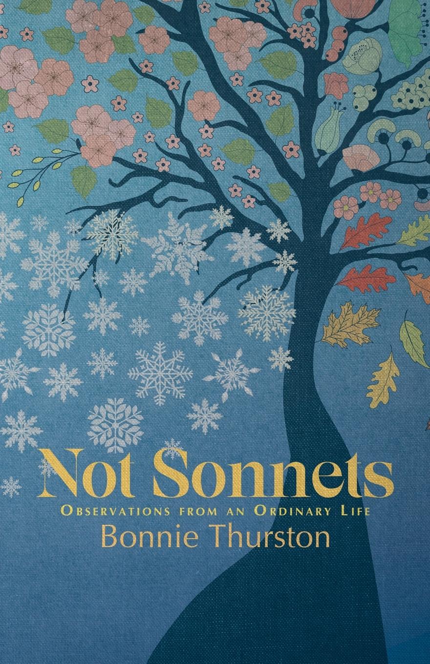 Vorderes Coverbild Not Sonnets