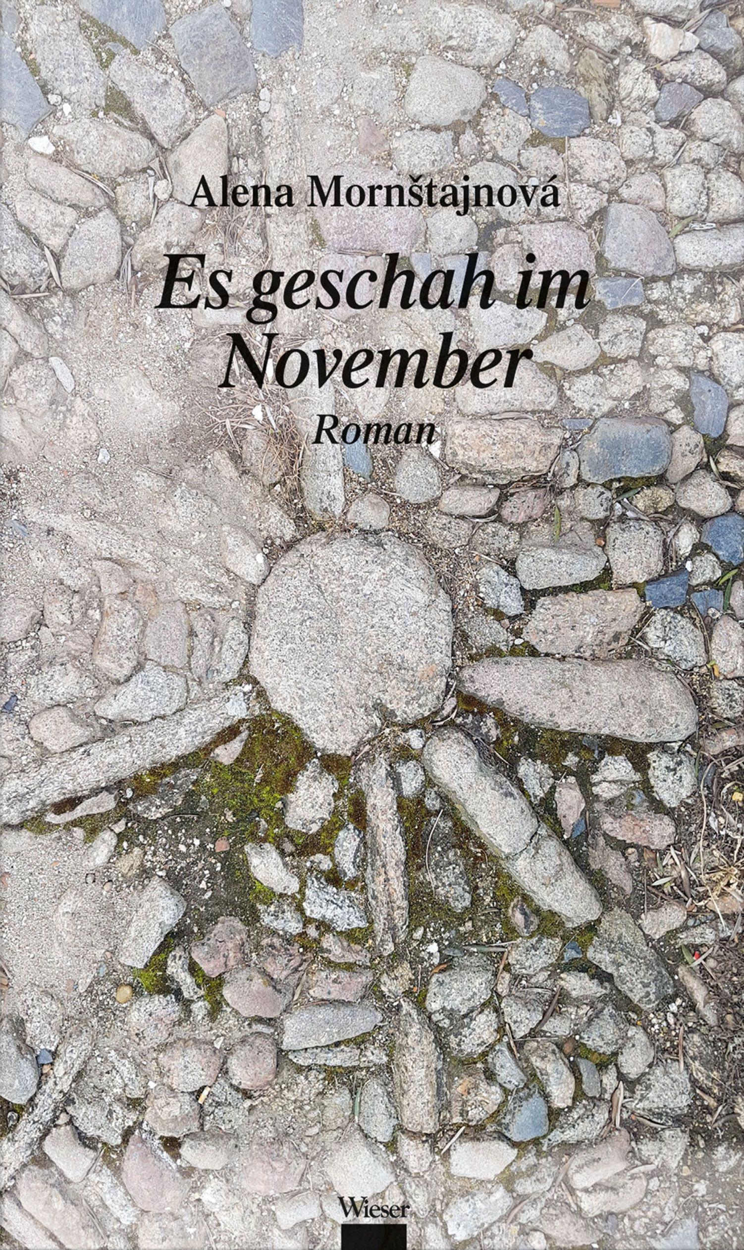 Vorderes Coverbild Es geschah im November