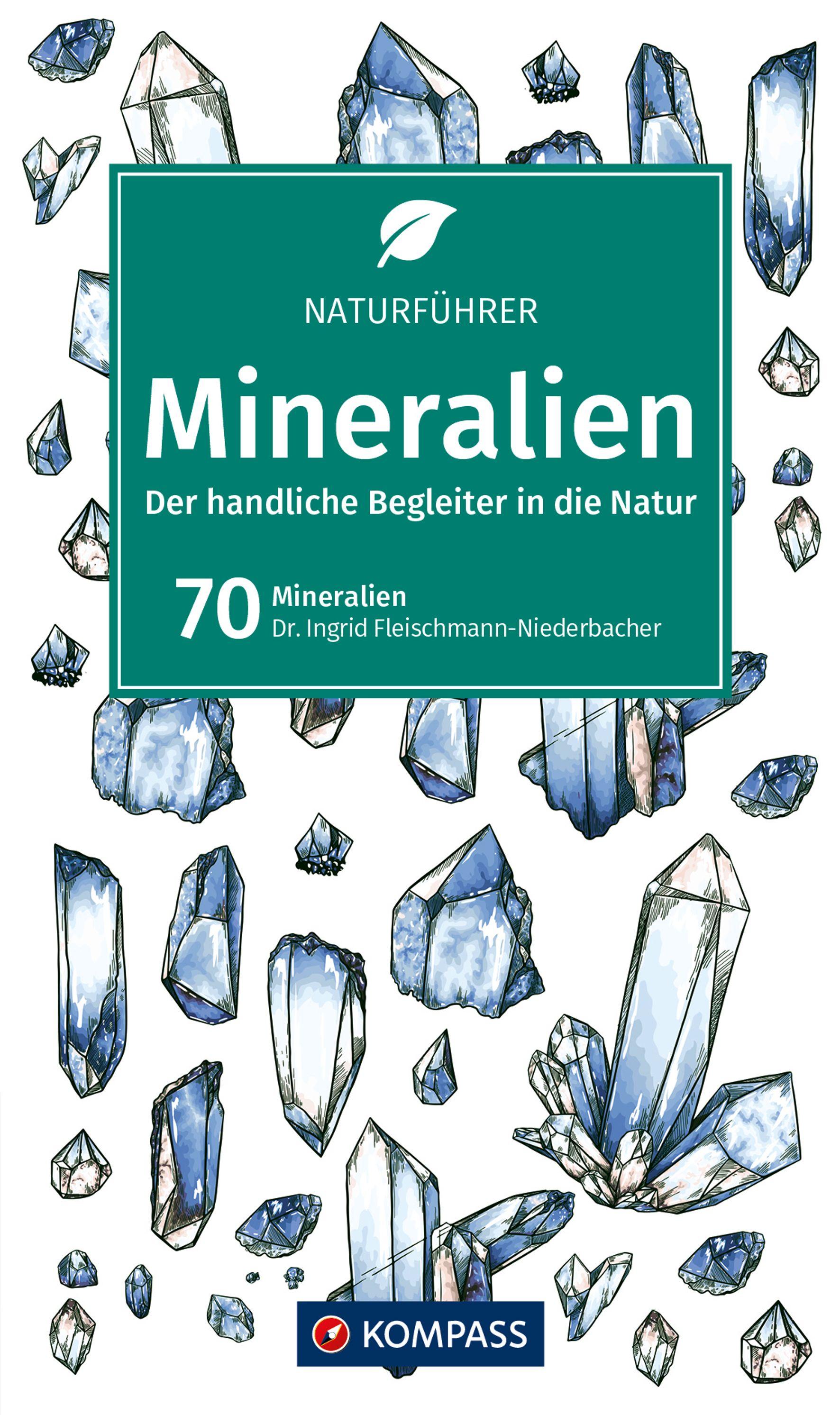 Vorderes Coverbild KOMPASS Naturführer Mineralien