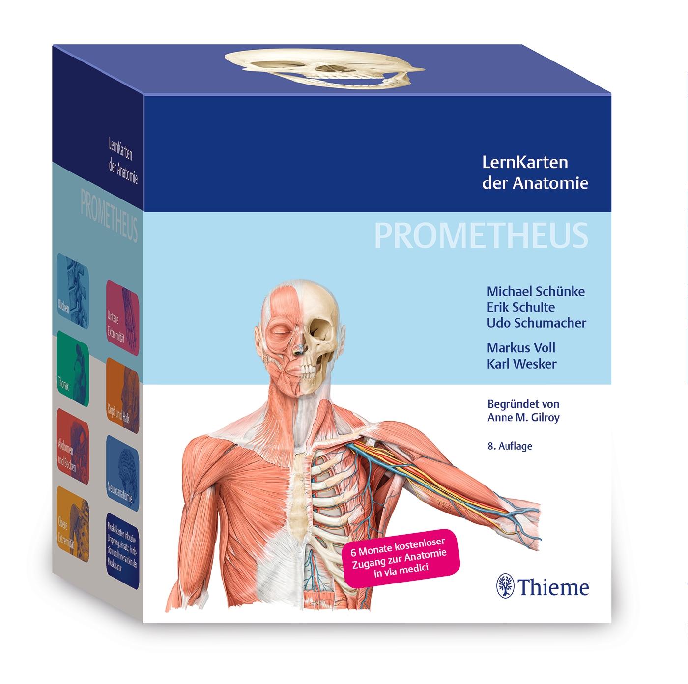 Vorderes Coverbild PROMETHEUS LernKarten der Anatomie