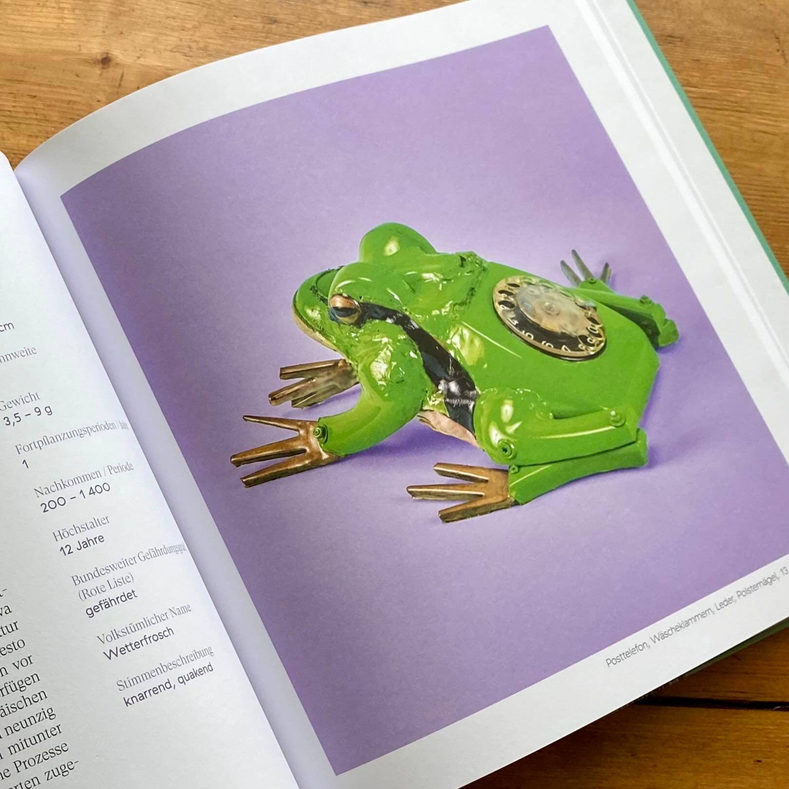 Beispielinhalt (Bild) Tönende Tiere