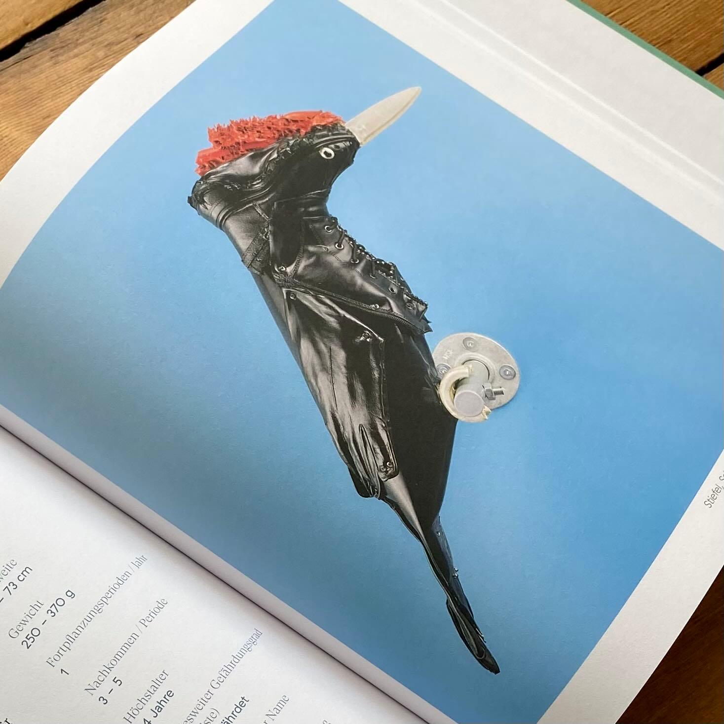 Beispielinhalt (Bild) Tönende Tiere