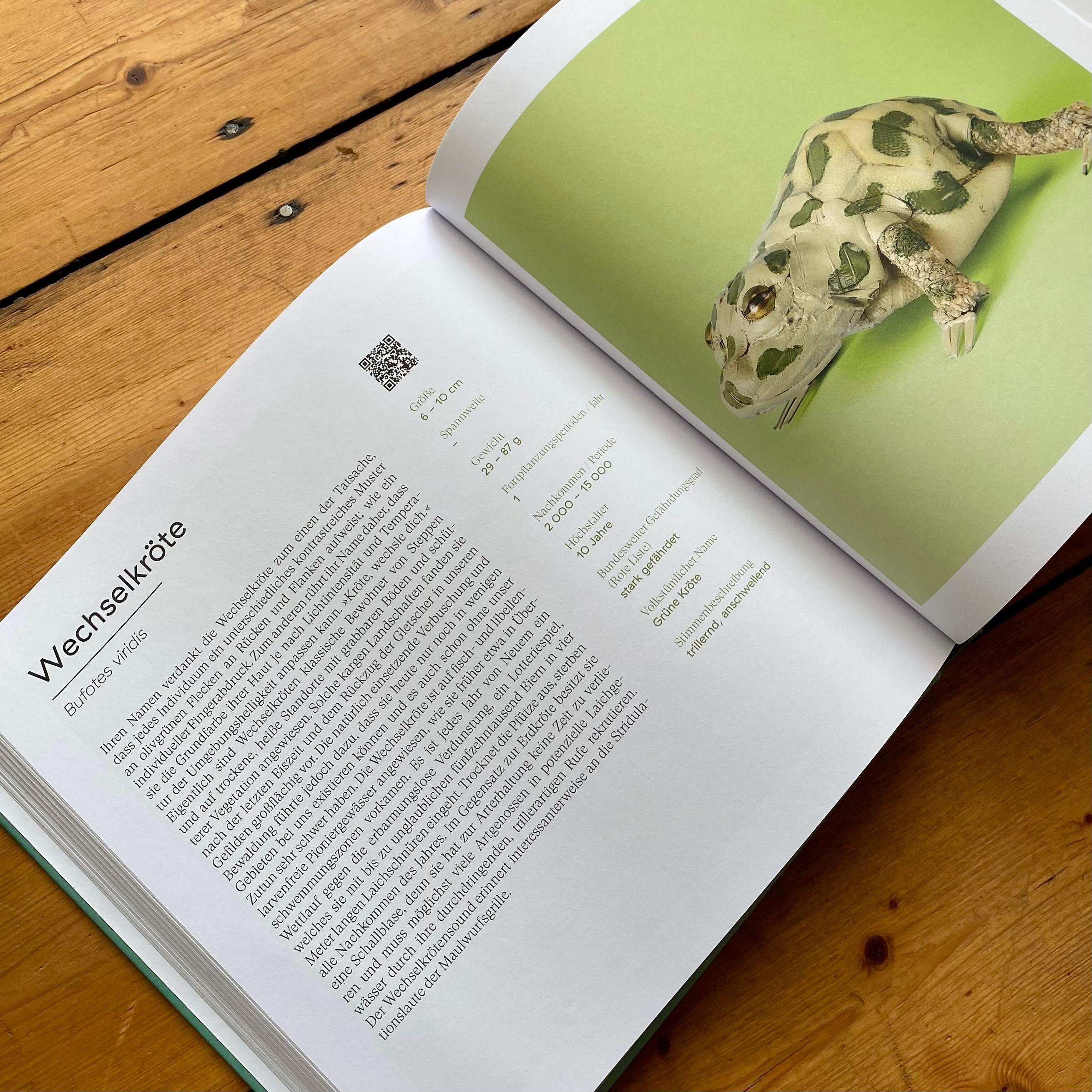 Beispielinhalt (Bild) Tönende Tiere