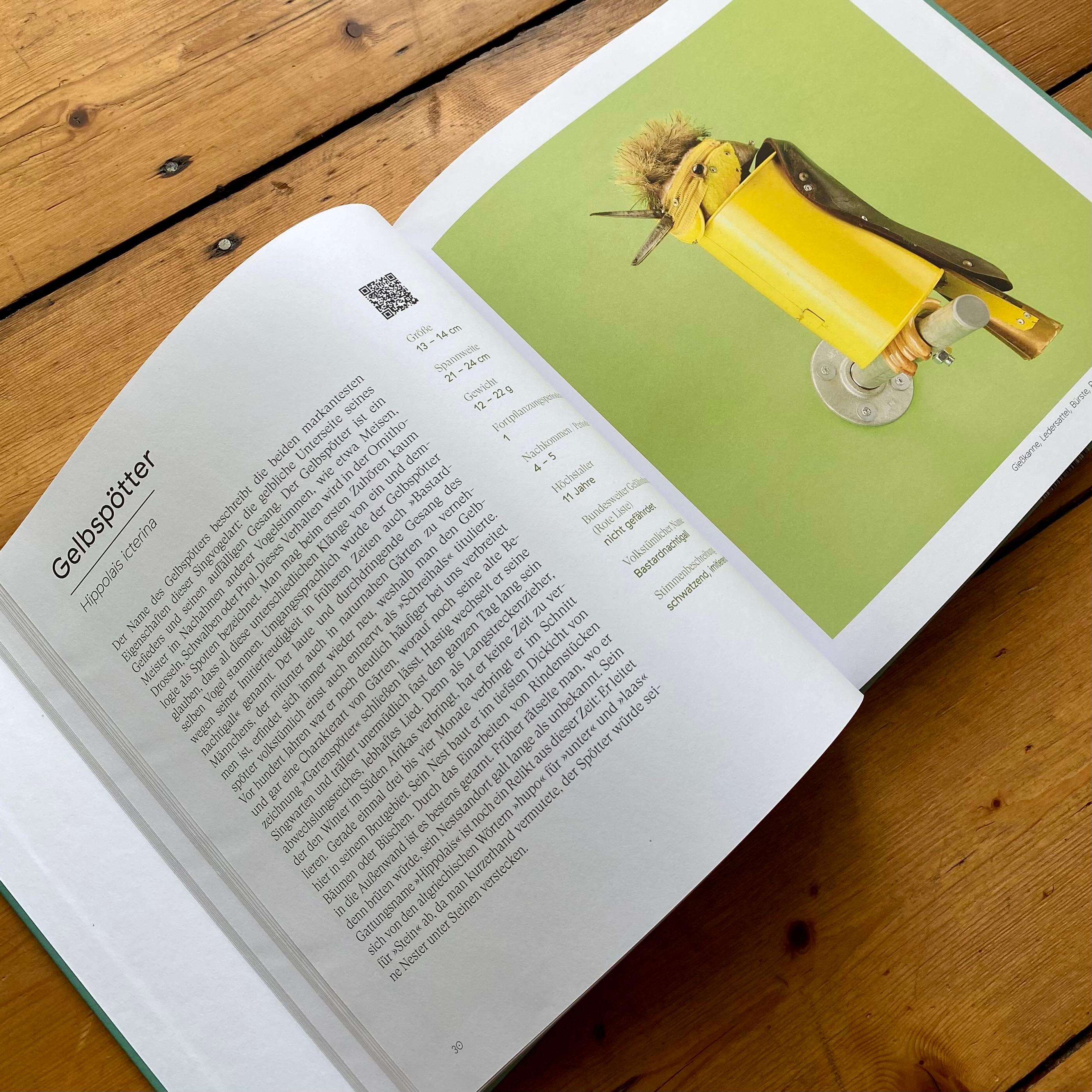 Beispielinhalt (Bild) Tönende Tiere