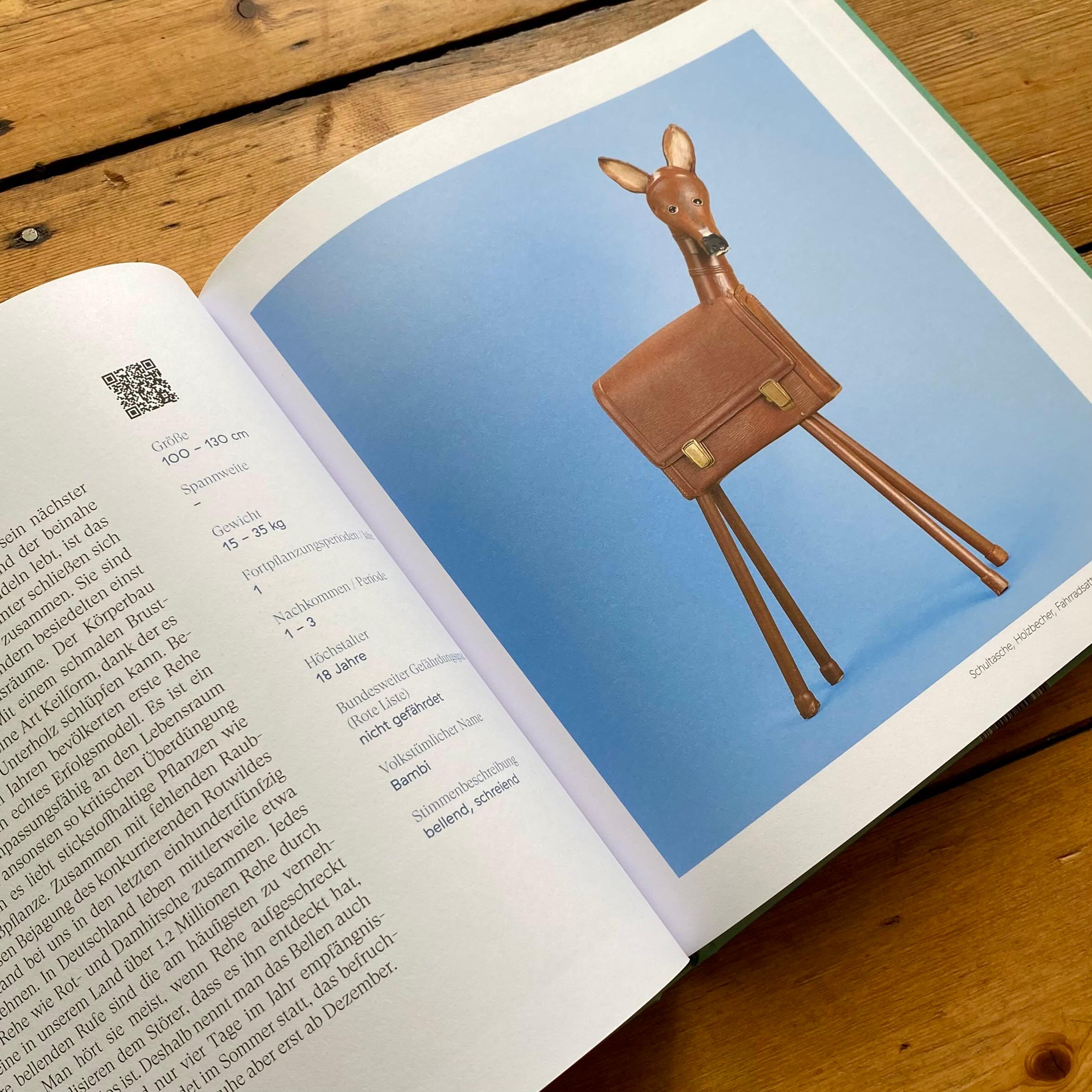 Beispielinhalt (Bild) Tönende Tiere