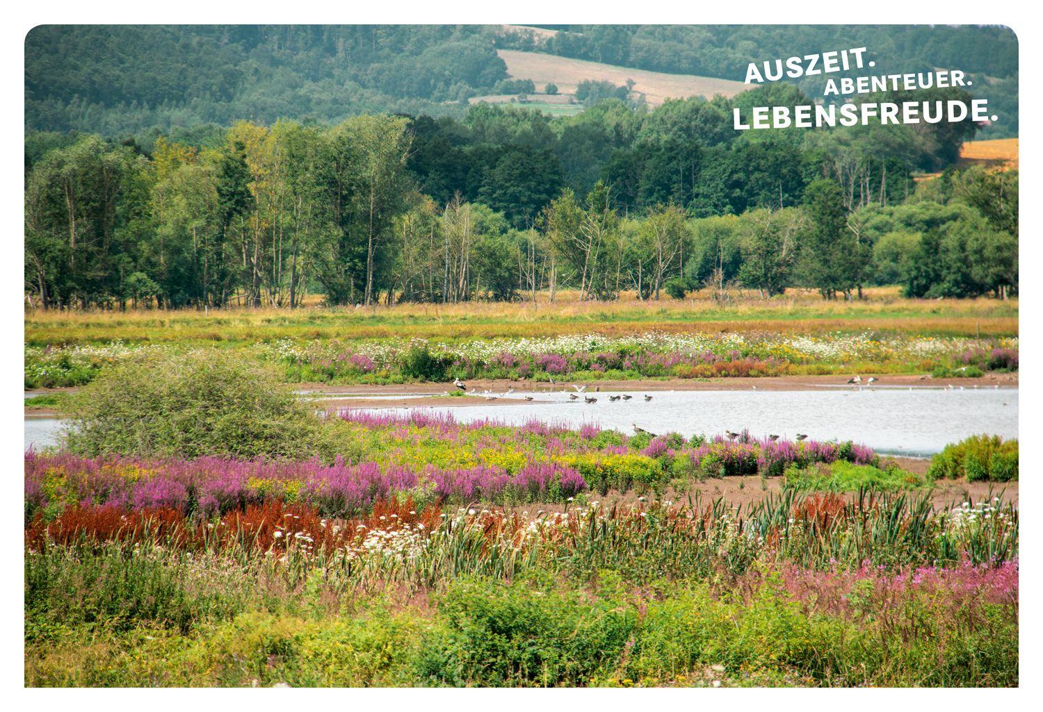 Beispielinhalt (Bild) 52 kleine & große Eskapaden Kassel und Nordhessen