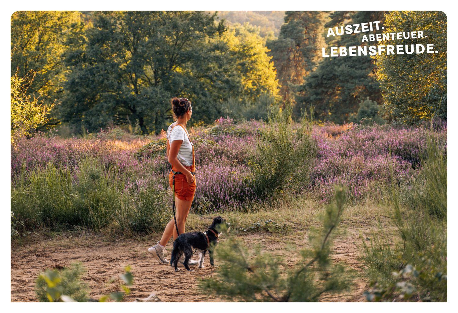 Beispielinhalt (Bild) 52 kleine & große Eskapaden am Mittelrhein