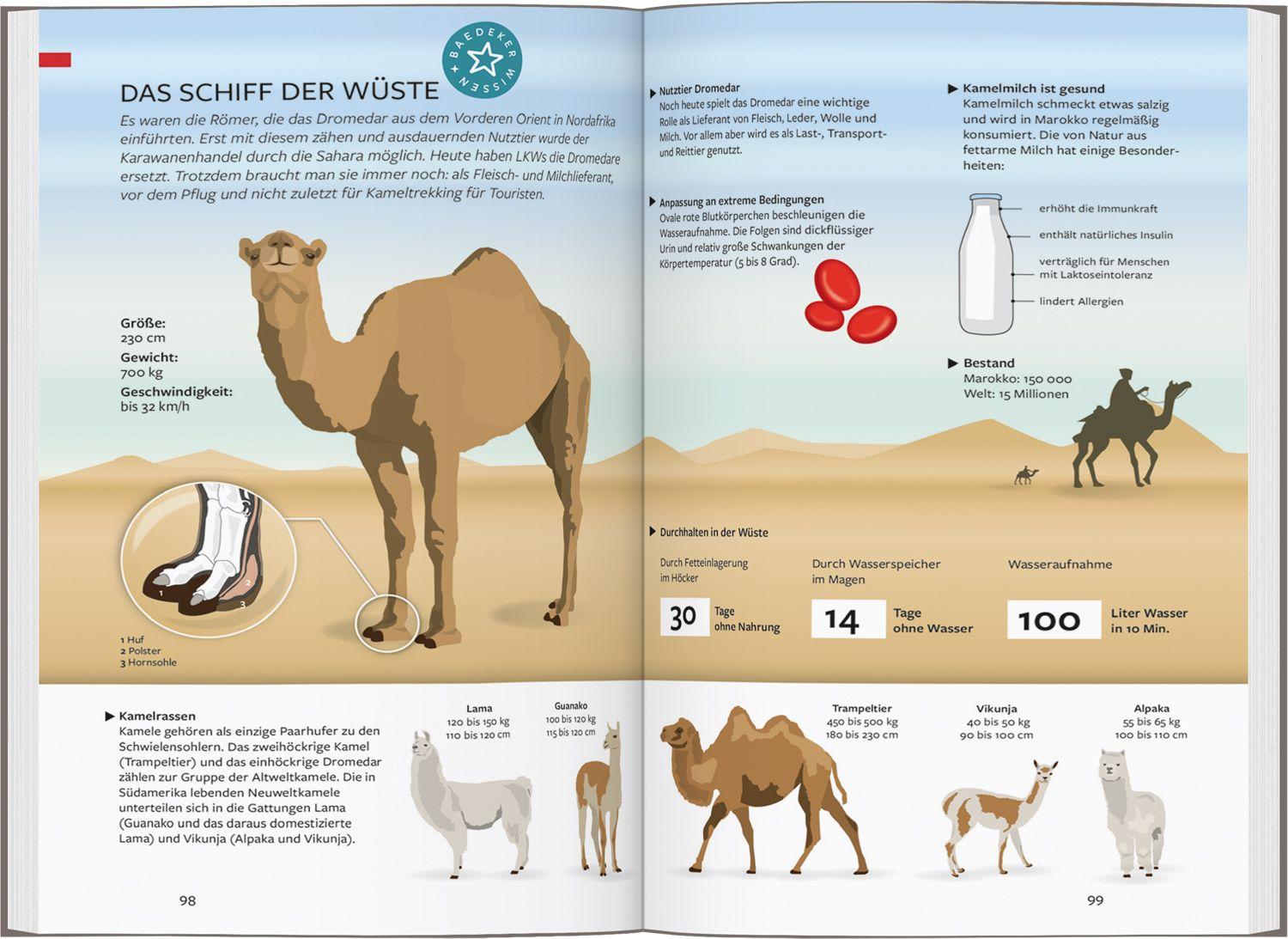 Beispielinhalt (Bild) Baedeker Reiseführer Marokko