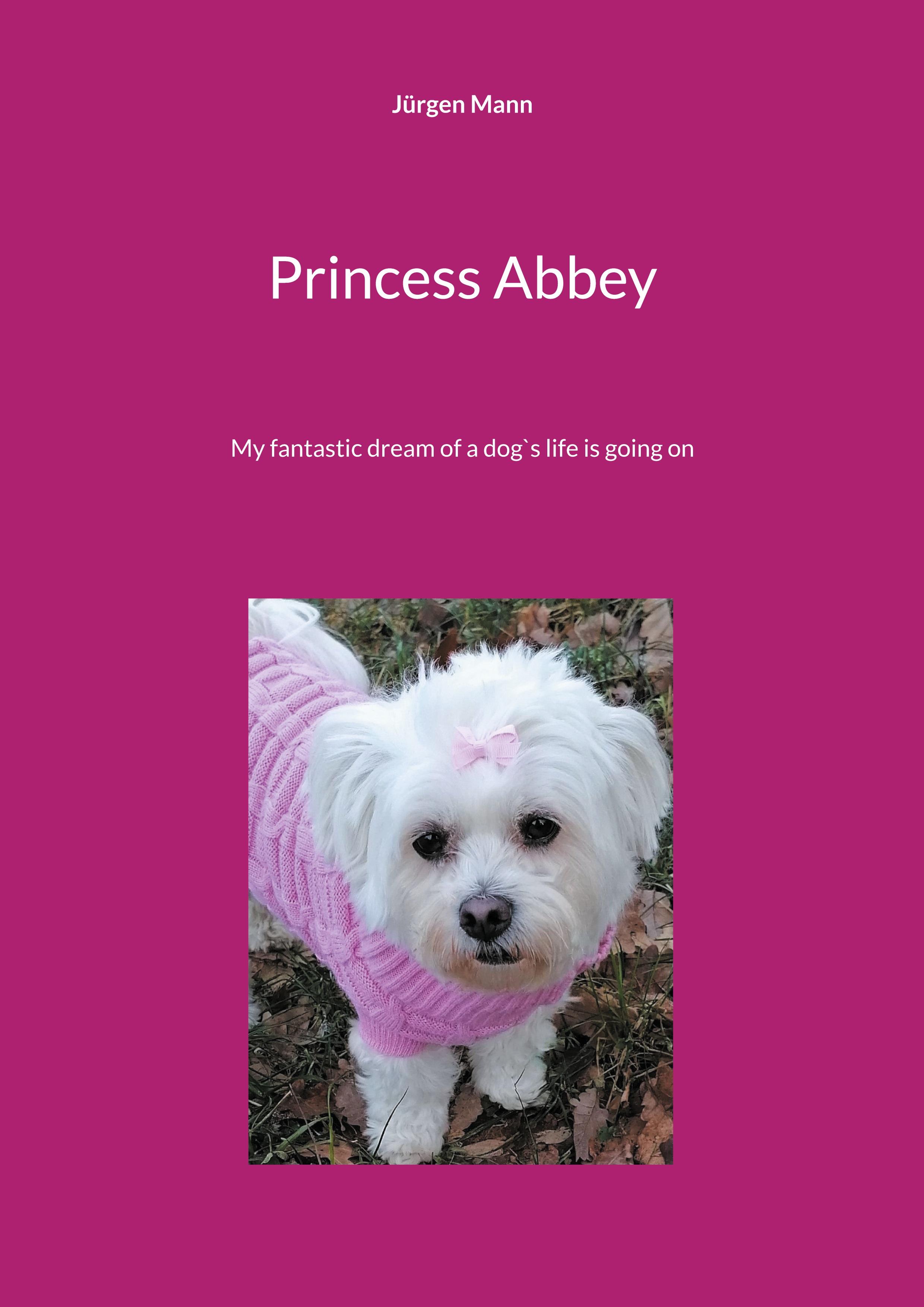 Vorderes Coverbild Princess Abbey