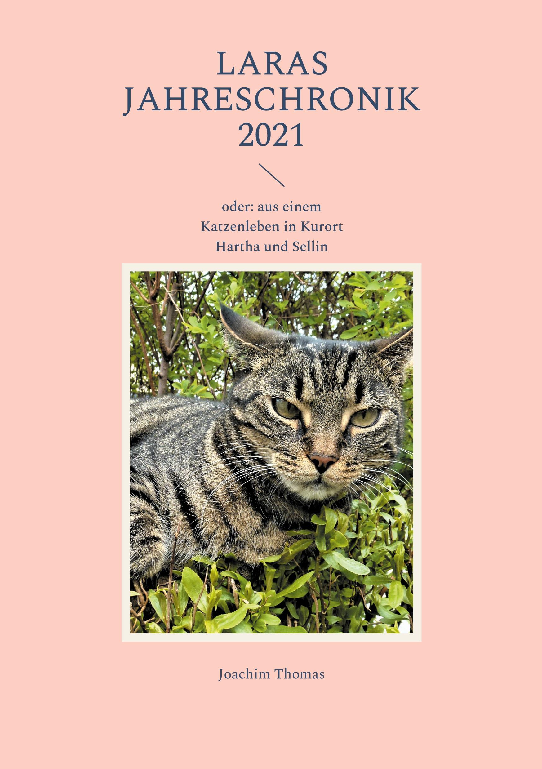 Vorderes Coverbild Laras Jahreschronik 2021