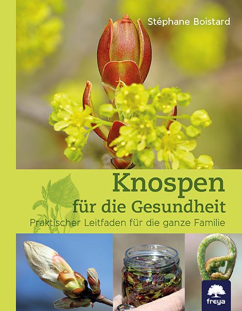 Vorderes Coverbild Knospen für die Gesundheit