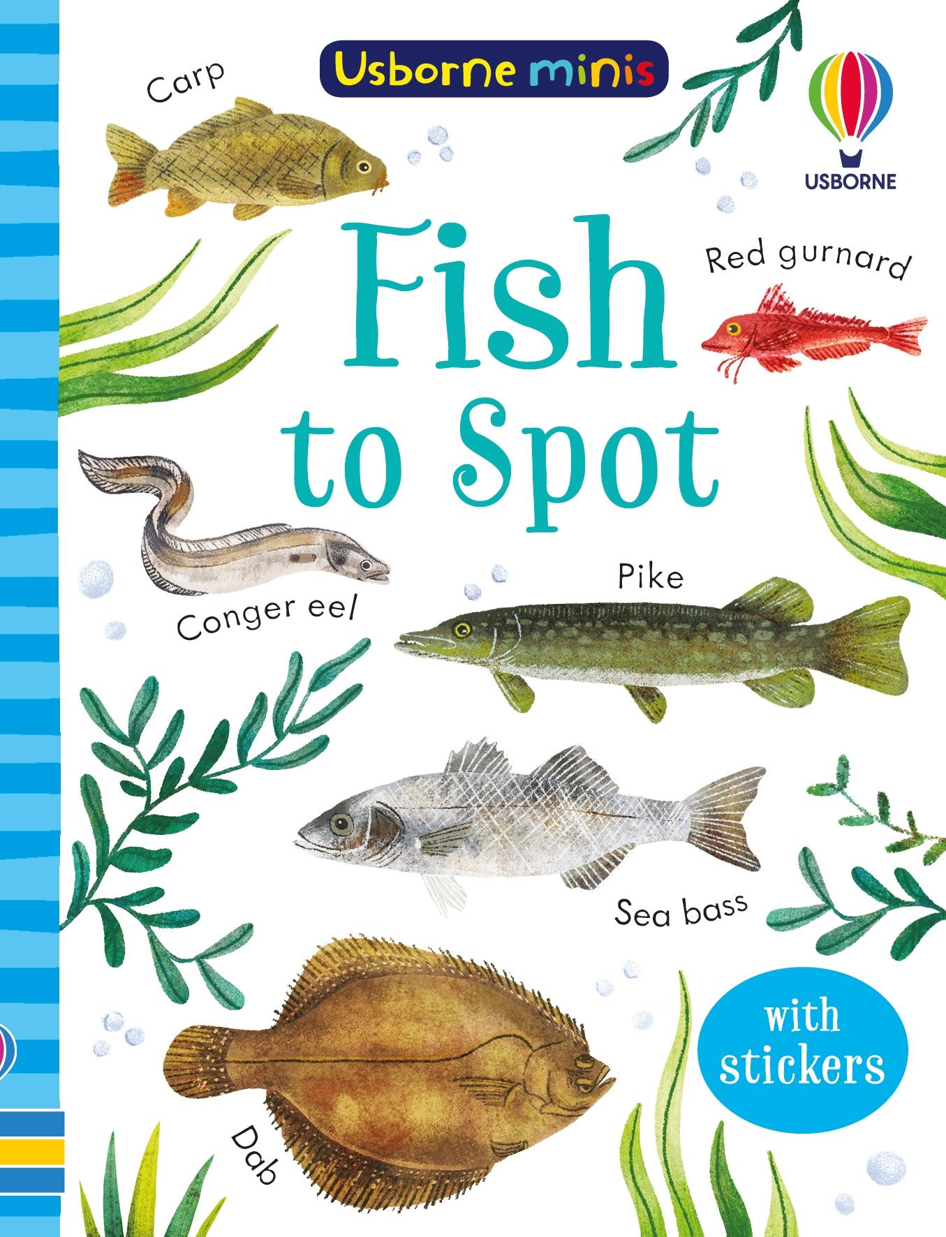 Vorderes Coverbild Fish to Spot