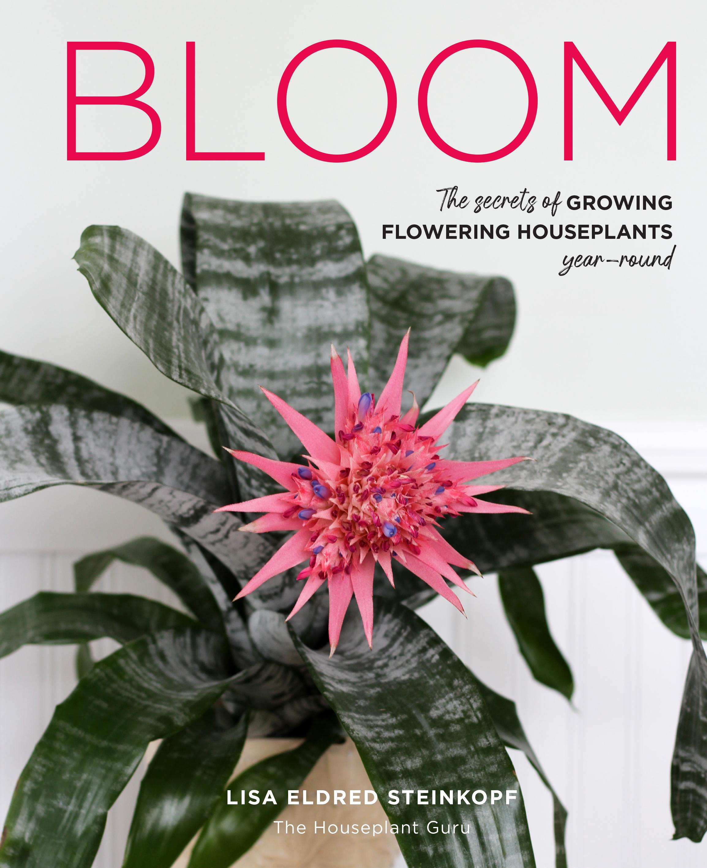 Vorderes Coverbild Bloom