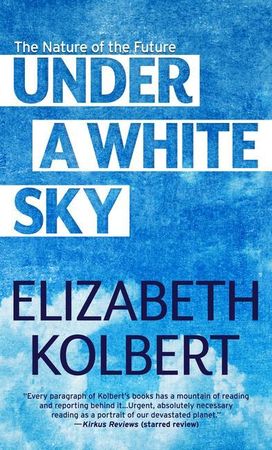 Vorderes Coverbild Under a White Sky
