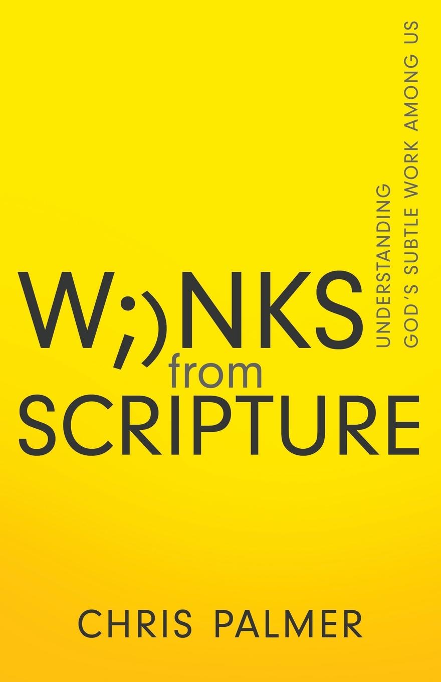 Vorderes Coverbild Winks from Scripture