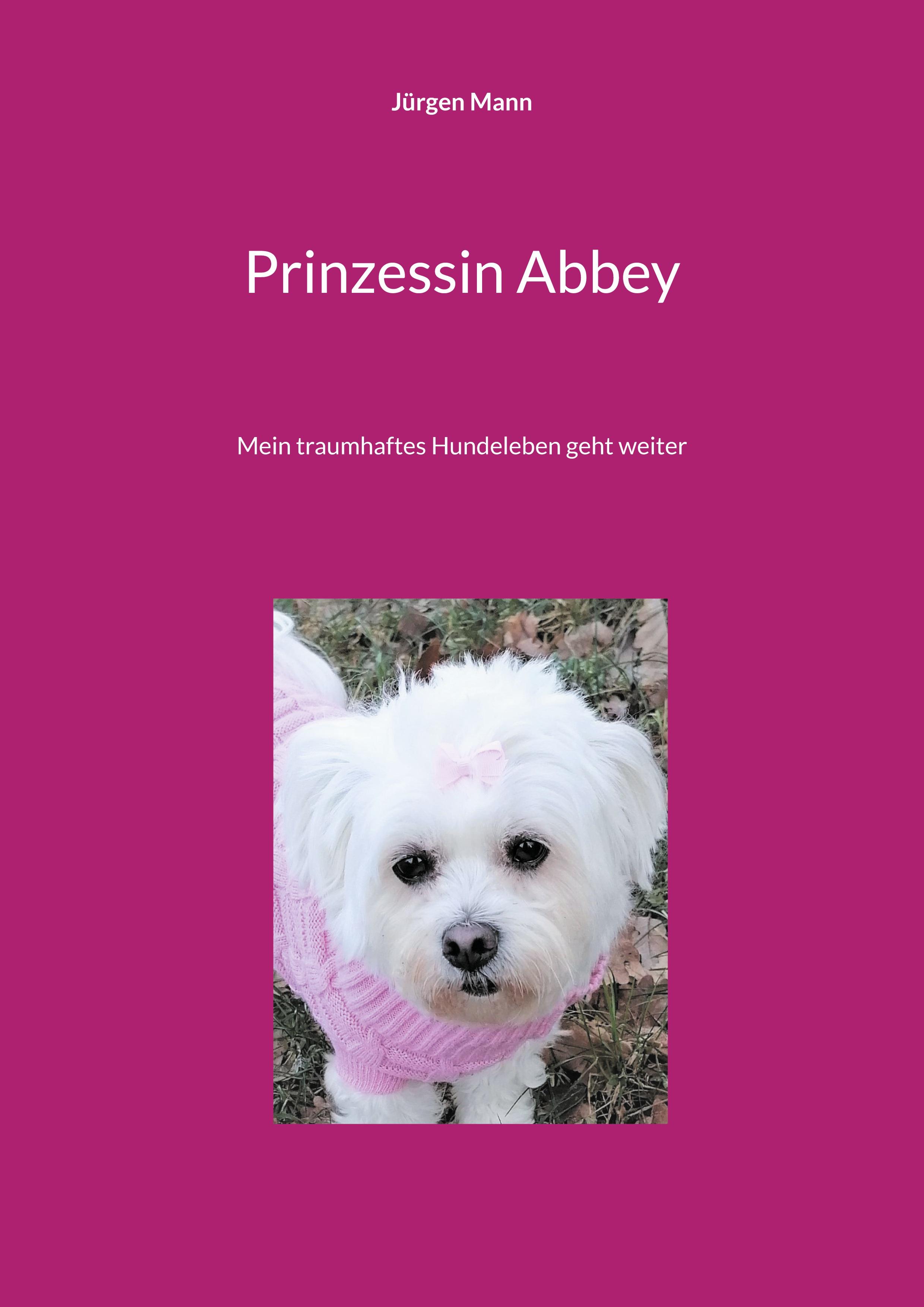 Vorderes Coverbild Prinzessin Abbey