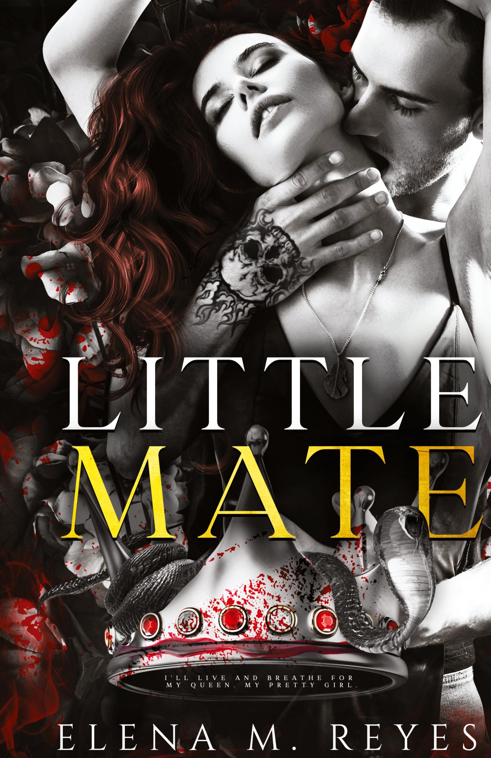 Vorderes Coverbild Little Mate