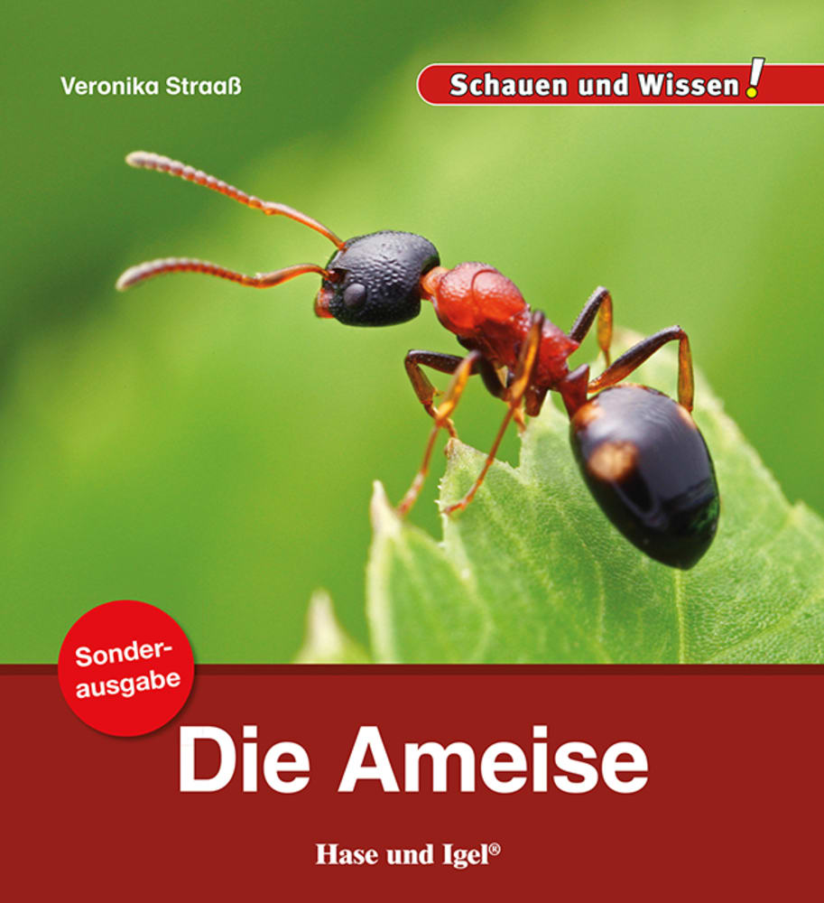 Vorderes Coverbild Die Ameise / Sonderausgabe