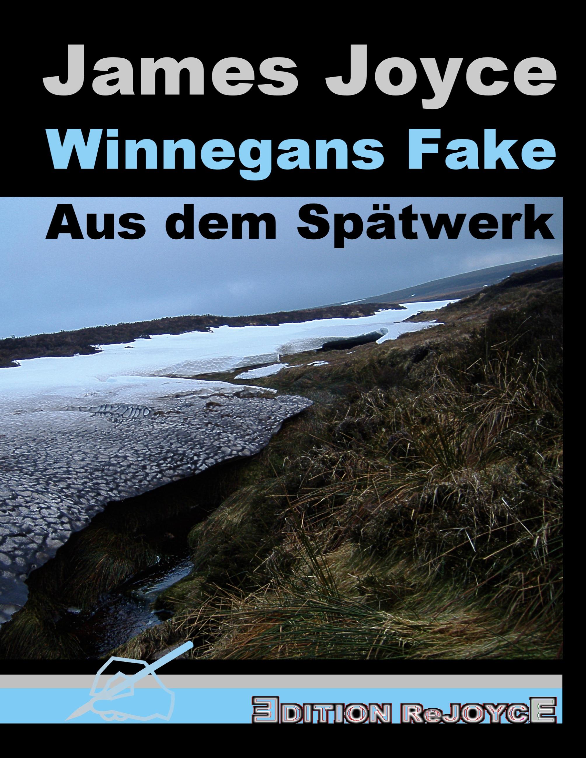 Vorderes Coverbild Winnegans Fake