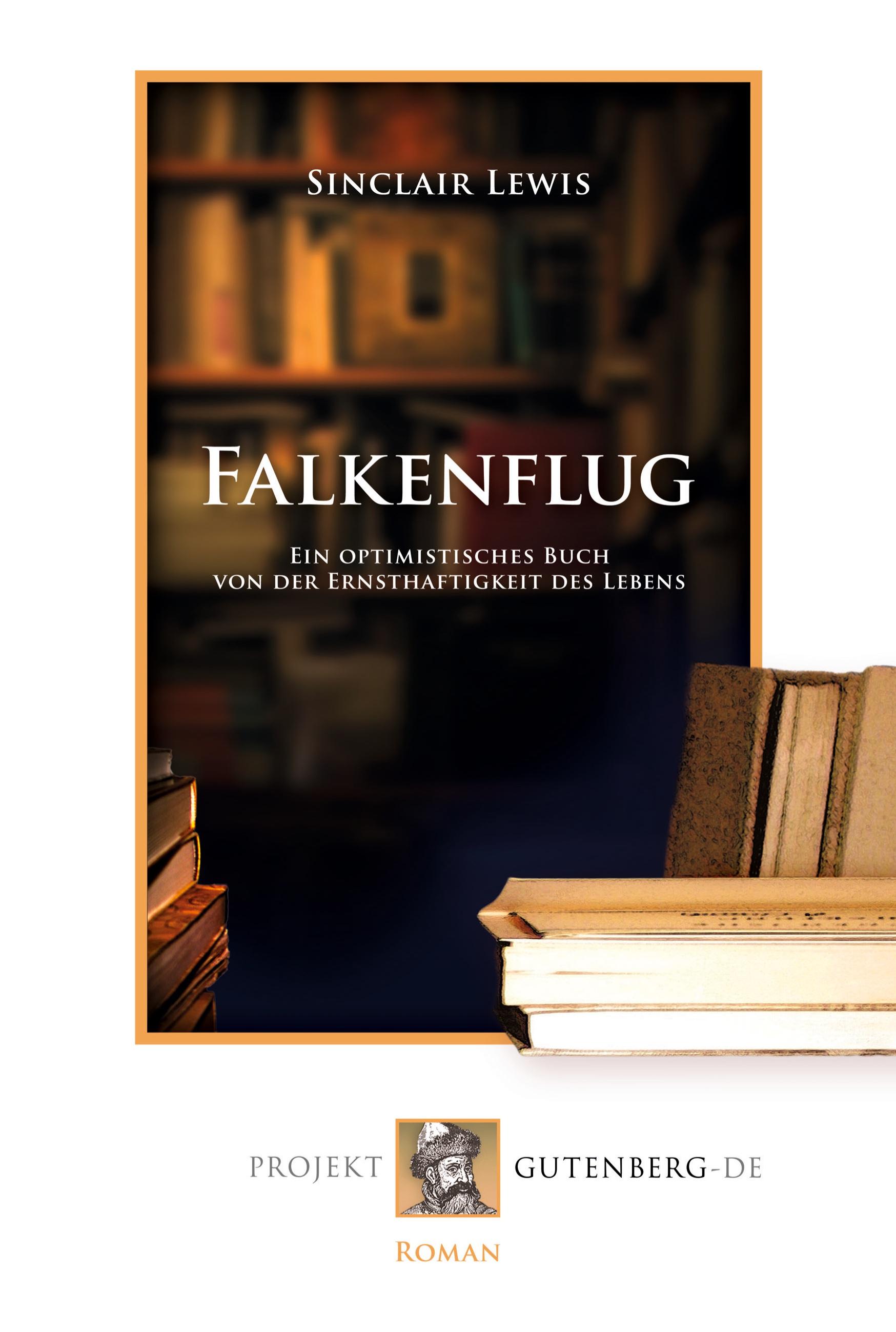 Vorderes Coverbild Falkenflug