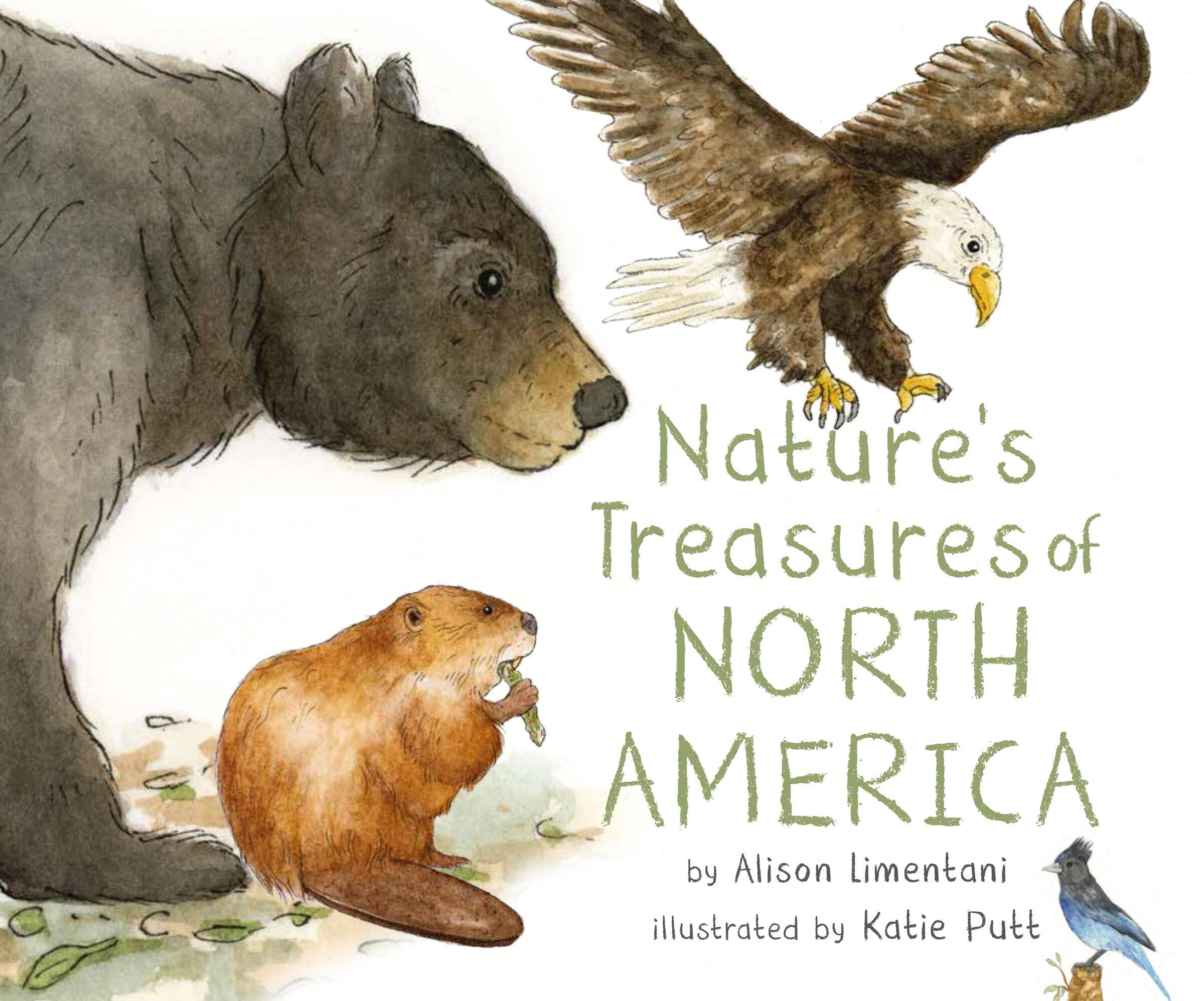 Vorderes Coverbild Nature's Treasures of North America