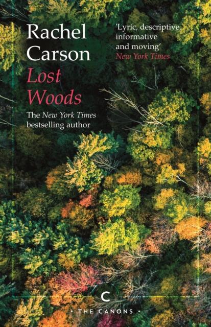 Vorderes Coverbild Lost Woods