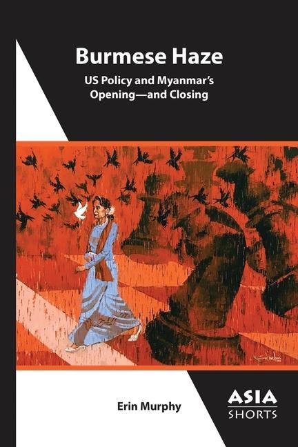 Vorderes Coverbild Burmese Haze - US Policy and Myanmar's Opening - and Closing
