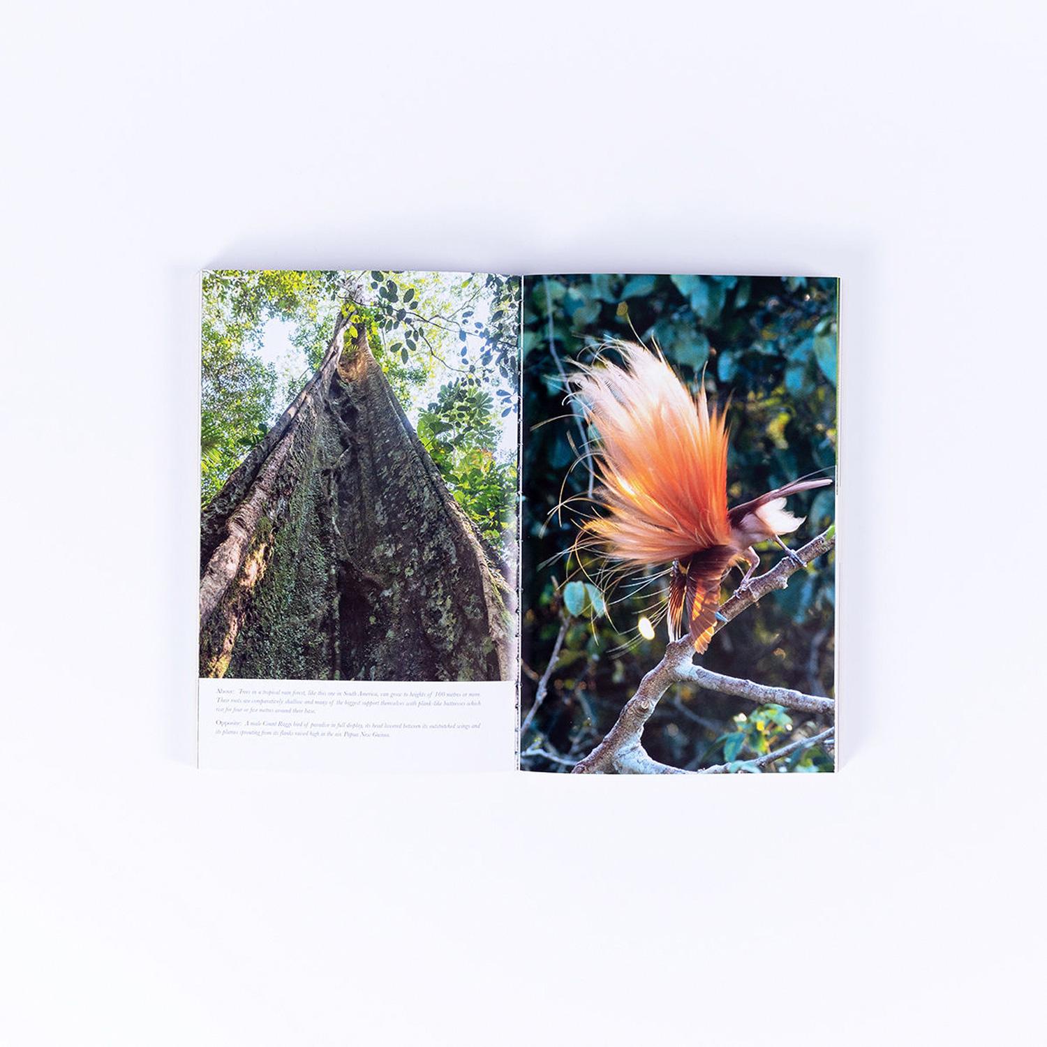 Beispielinhalt (Bild) Living Planet