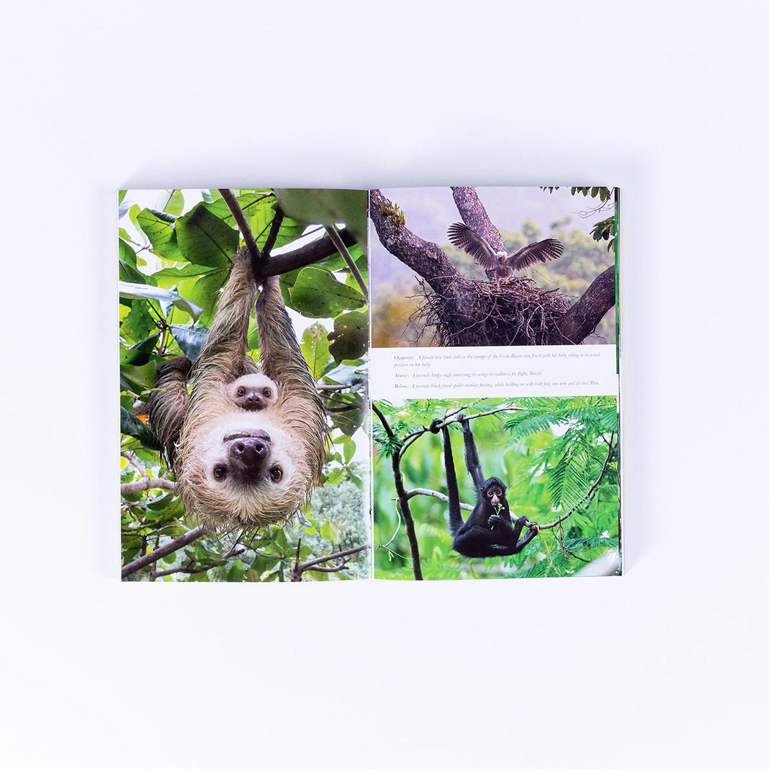 Beispielinhalt (Bild) Living Planet