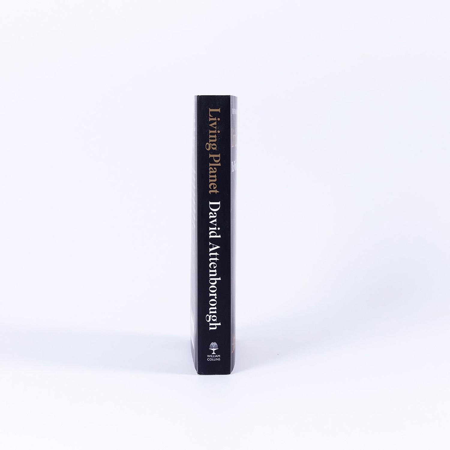 Beispielinhalt (Bild) Living Planet