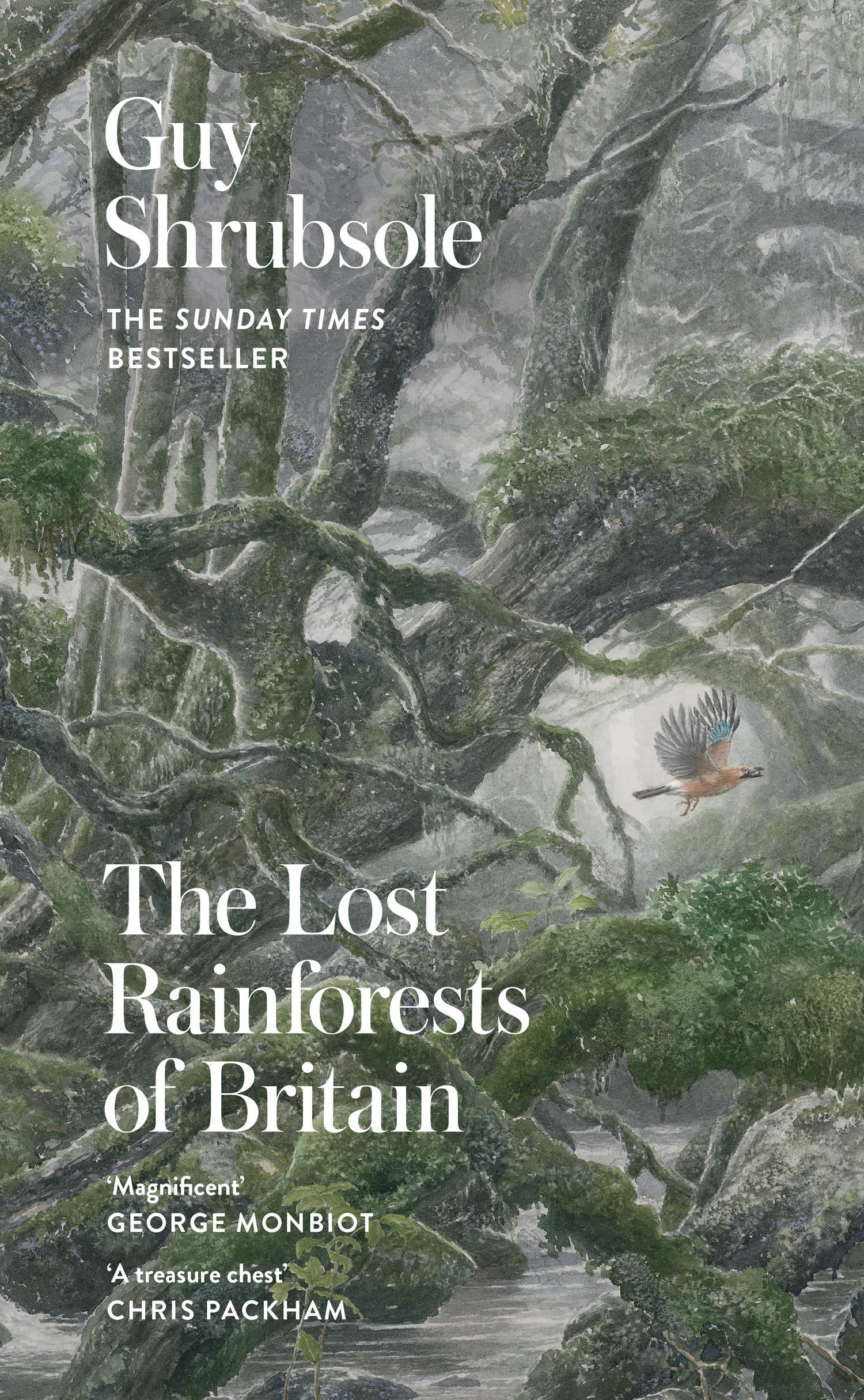 Vorderes Coverbild The Lost Rainforests of Britain