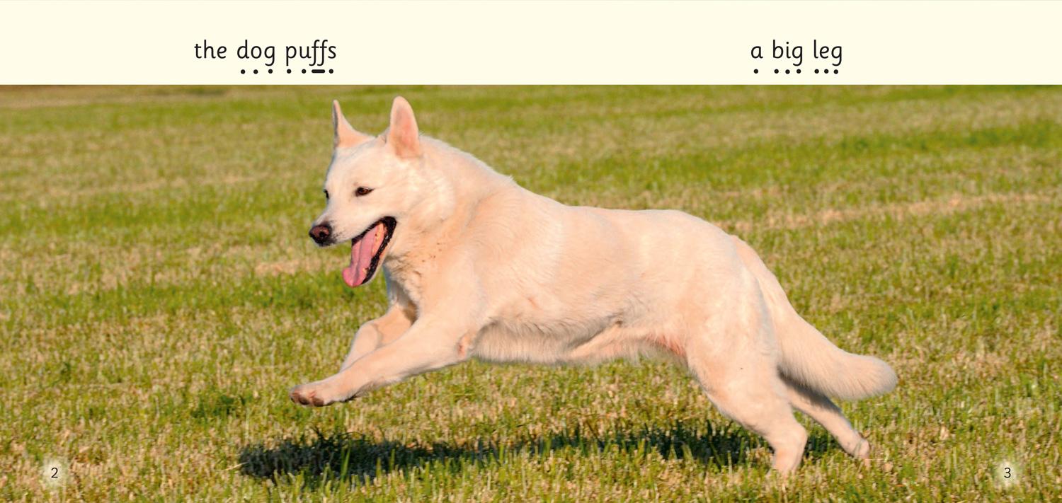 Beispielinhalt (Bild) Fins and Legs