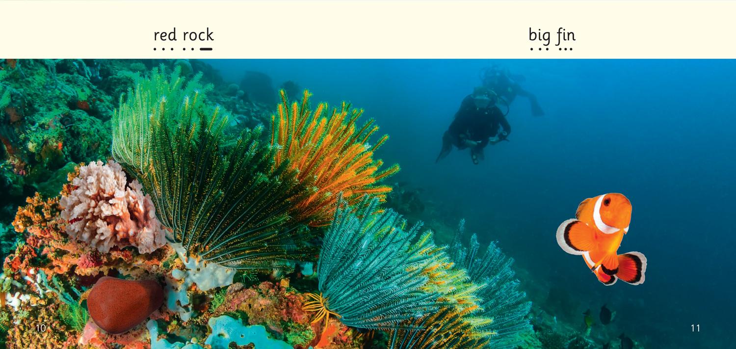 Beispielinhalt (Bild) Fins and Legs