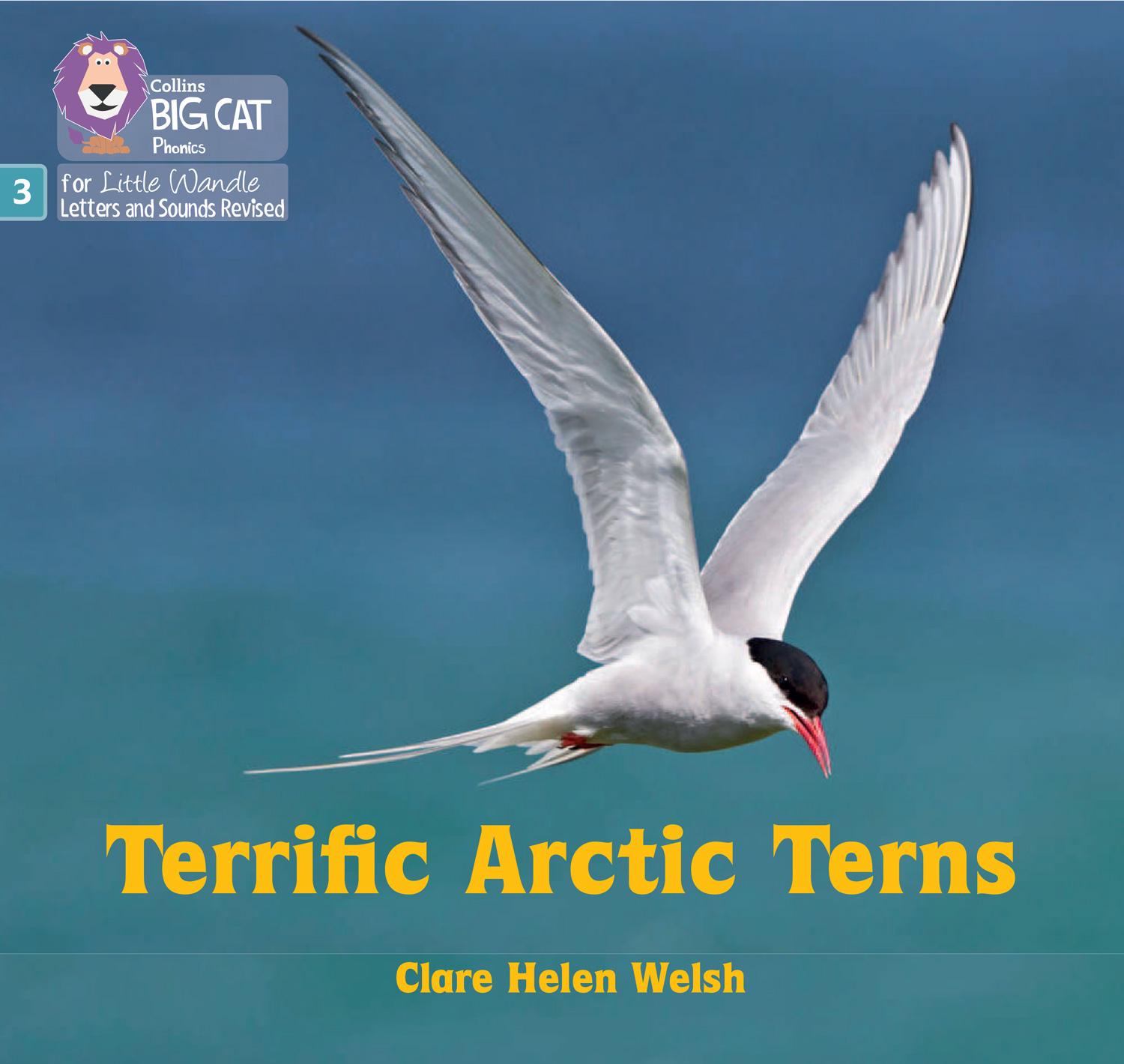 Vorderes Coverbild Terrific Arctic Terns