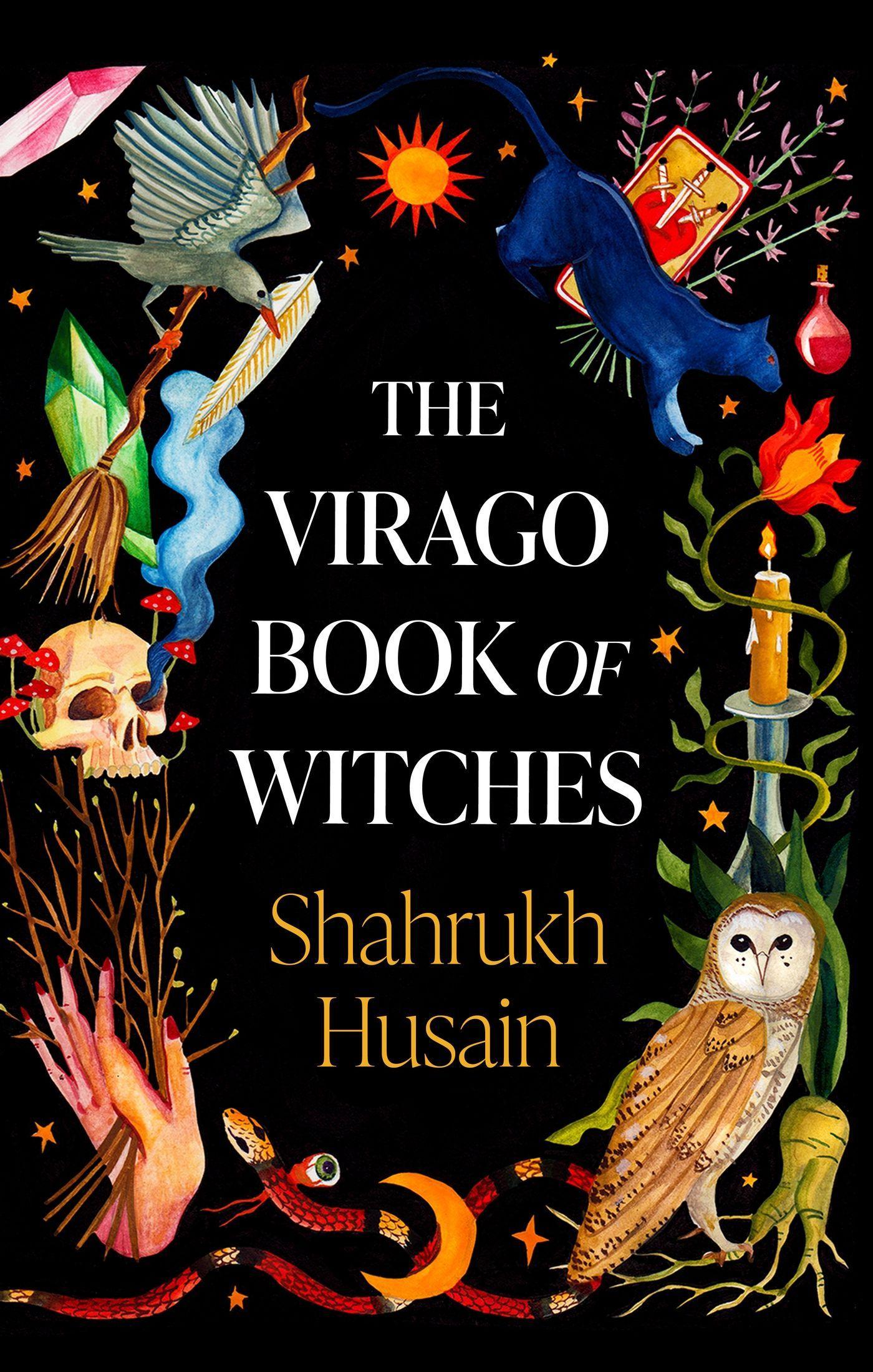 Vorderes Coverbild The Virago Book Of Witches